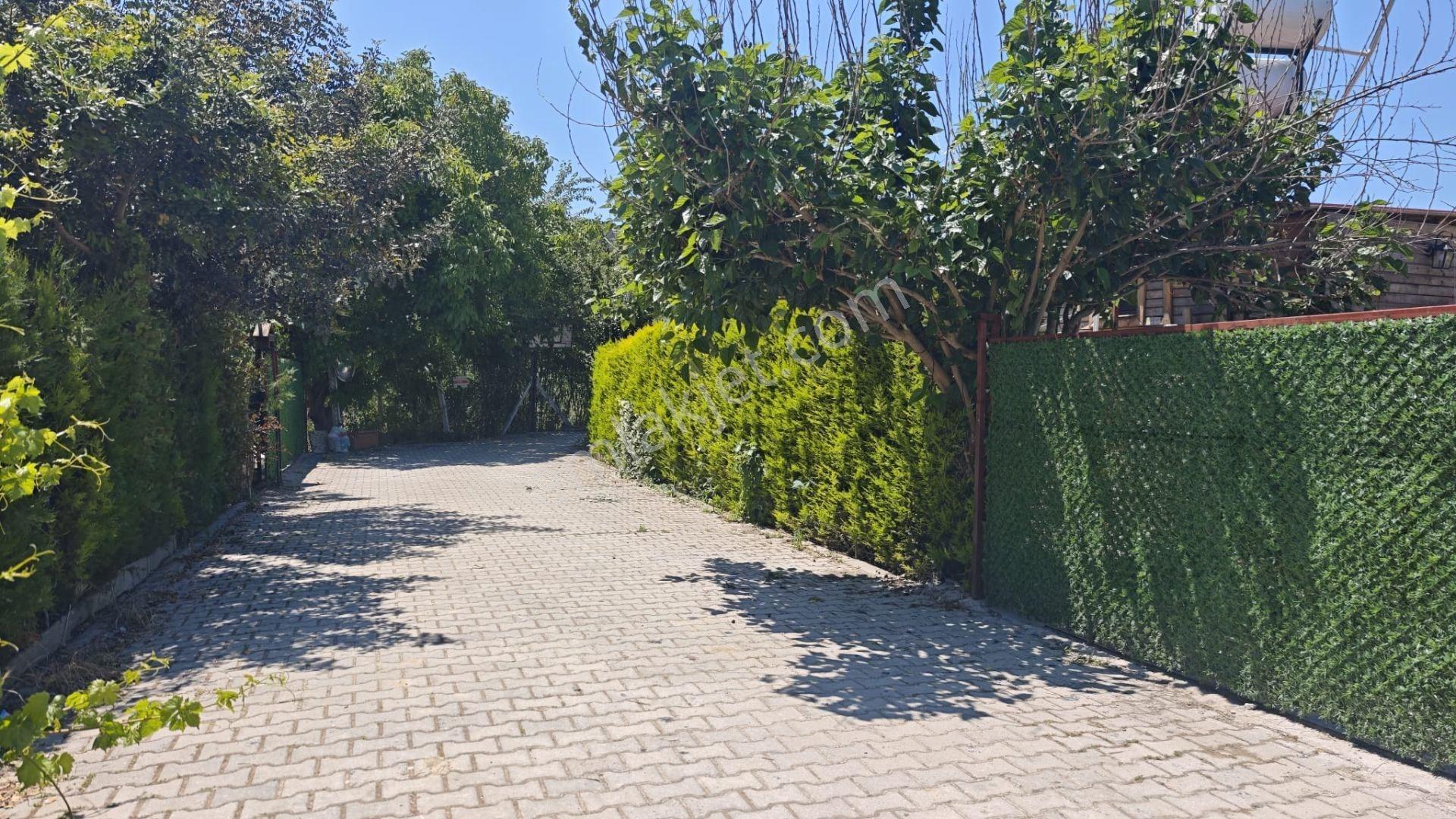 Kuşadası Değirmendere Mevkii Satılık Hobi Bahçesi Koop. Hissesi - Görsel 22
