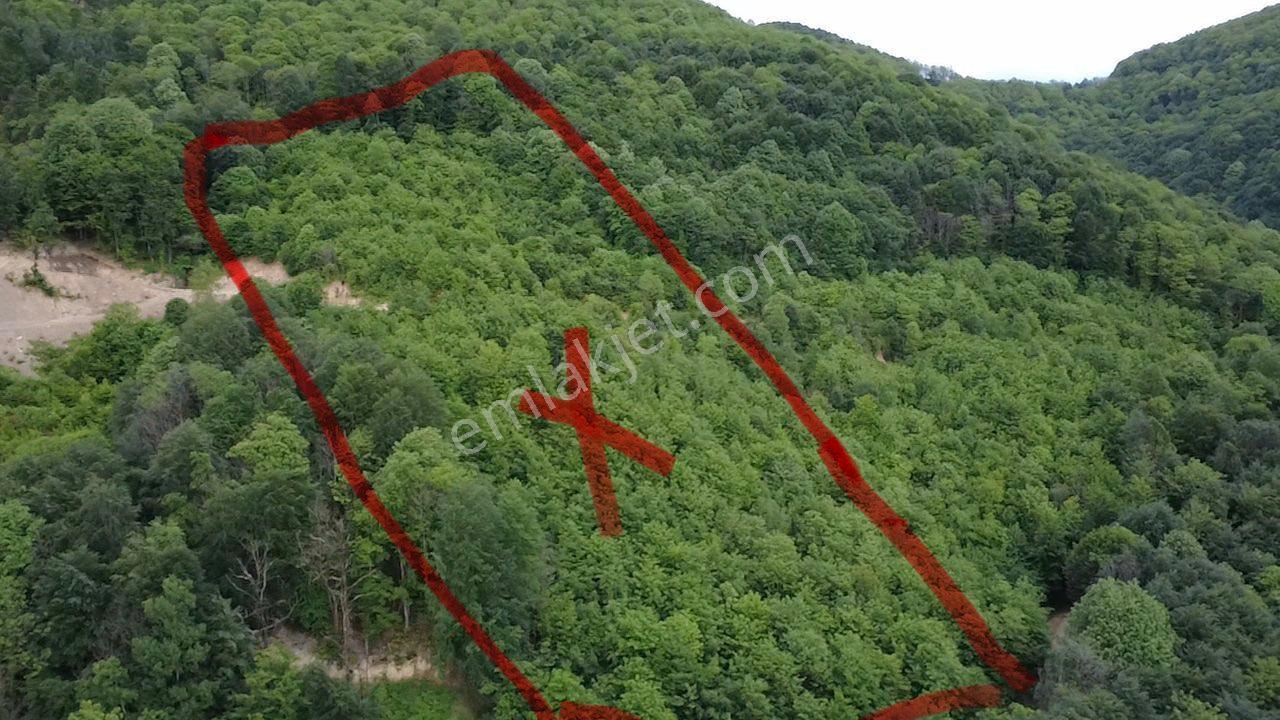Yuvacıkta Satılık 13 Dönüm Tarla - Görsel 2