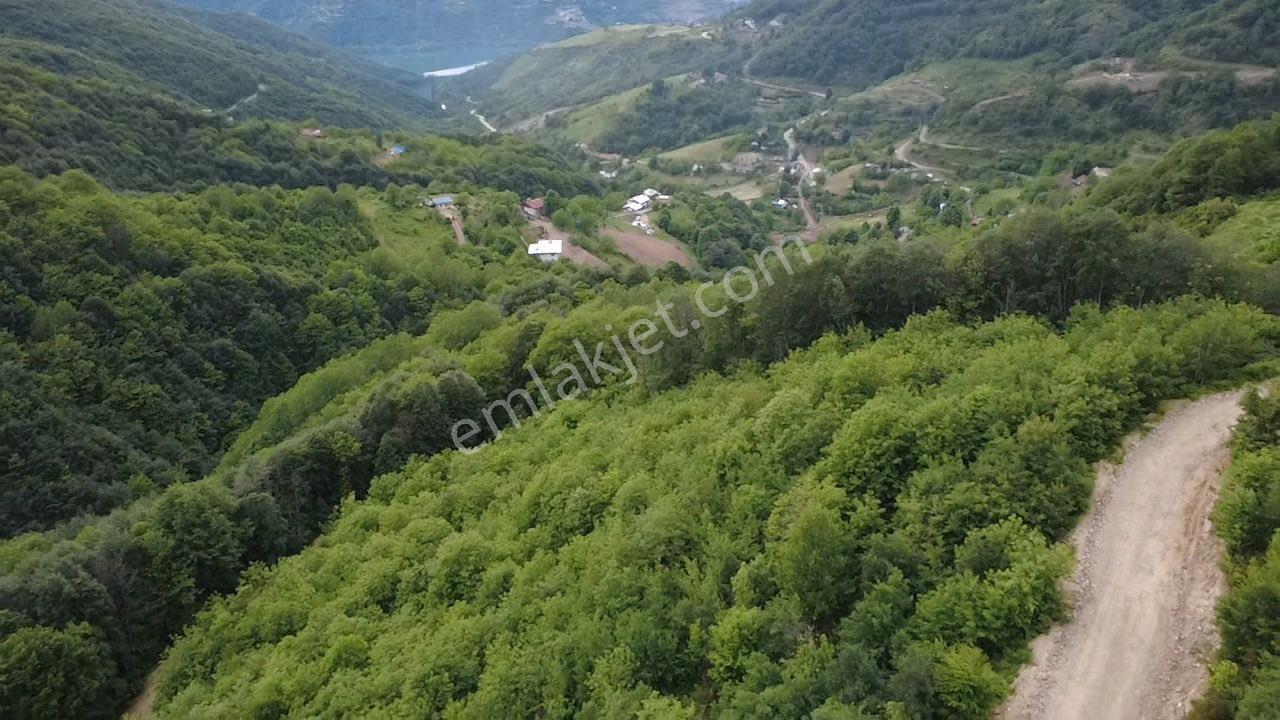 Yuvacıkta Satılık 13 Dönüm Tarla - Görsel 9