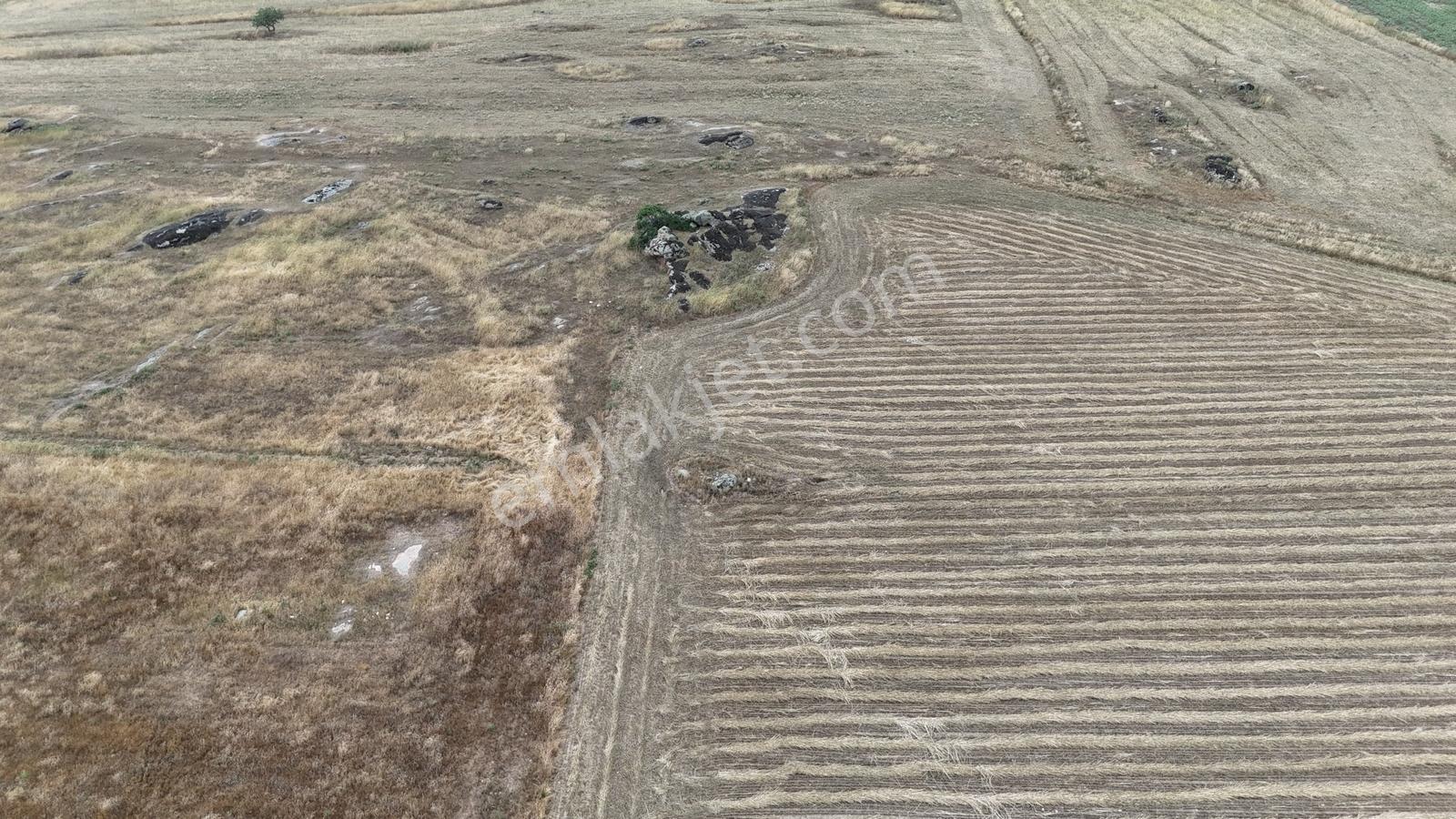 Kırklareli Kayalı'da 2.013 M² Resmi Yollu Tarla - Araç Takaslı - Görsel 6