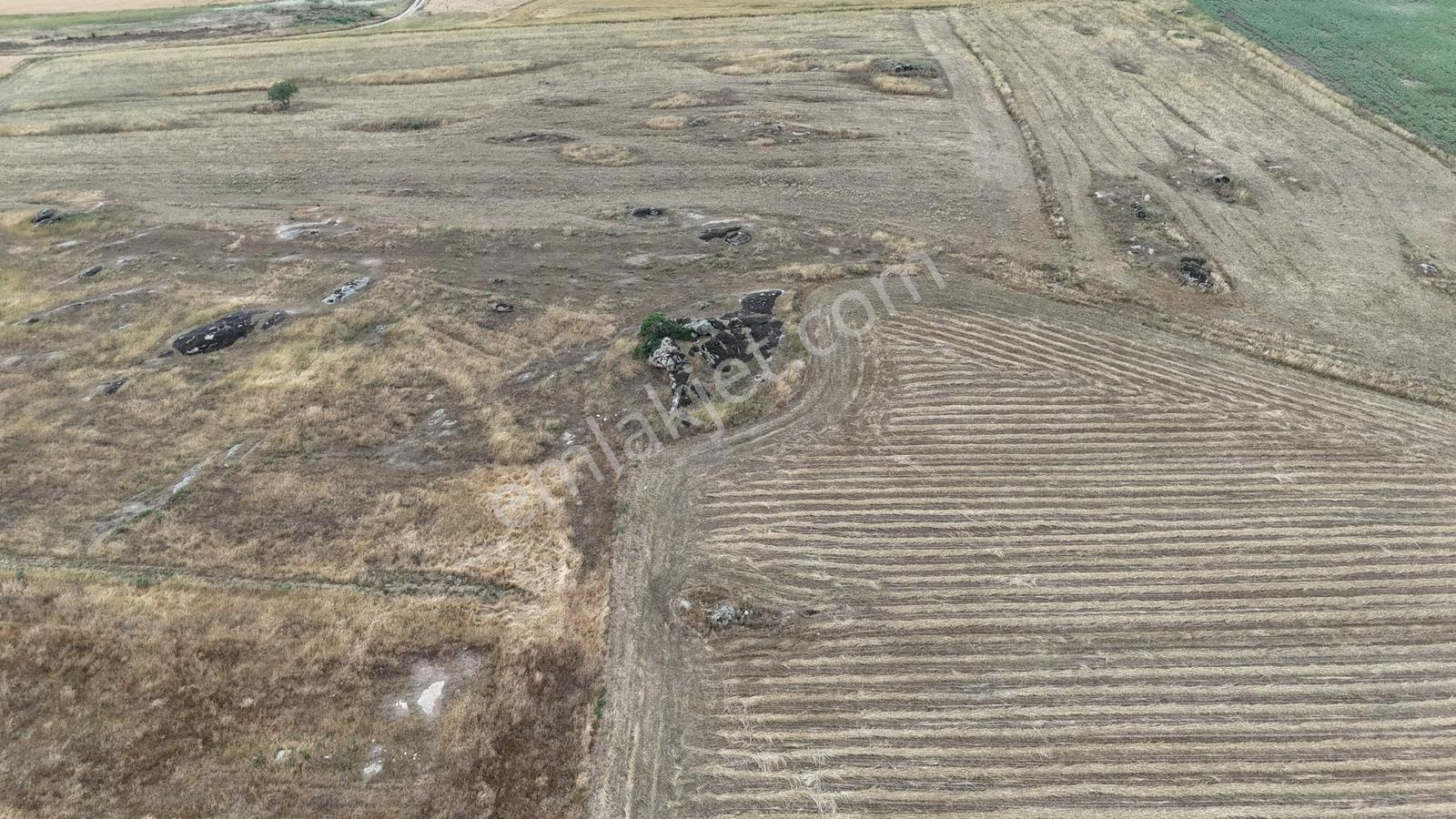 Kırklareli Kayalı'da 2.013 M² Resmi Yollu Tarla - Araç Takaslı - Görsel 20