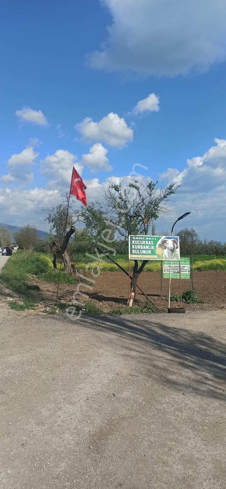 Orhangazi Yeniköy Asfalta Cephe 103 M2 Düz Arazi - Görsel 4