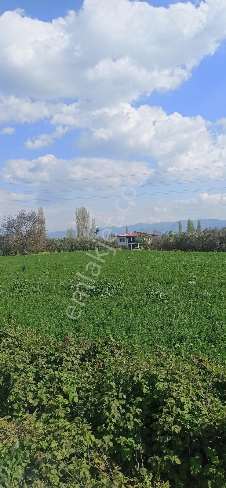 Orhangazi Yeniköy Asfalta Cephe 103 M2 Düz Arazi - Görsel 9