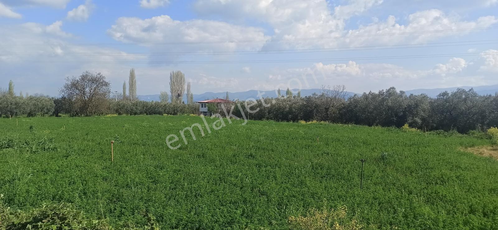 Orhangazi Yeniköy Asfalta Cephe 103 M2 Düz Arazi - Görsel 7