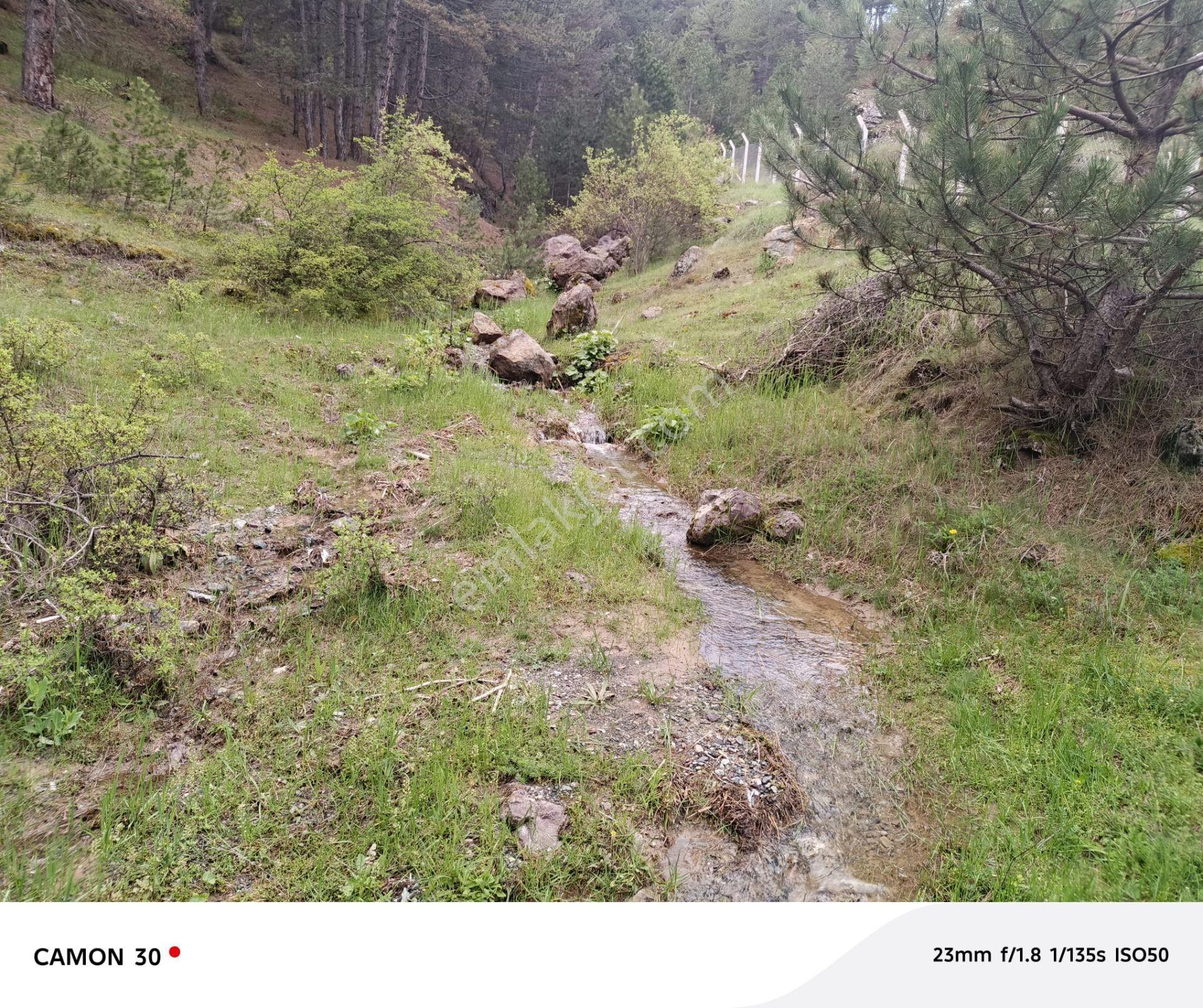 Kastamonu -tosya Kargın Köyü'nde Satılık Tarla - Görsel 8