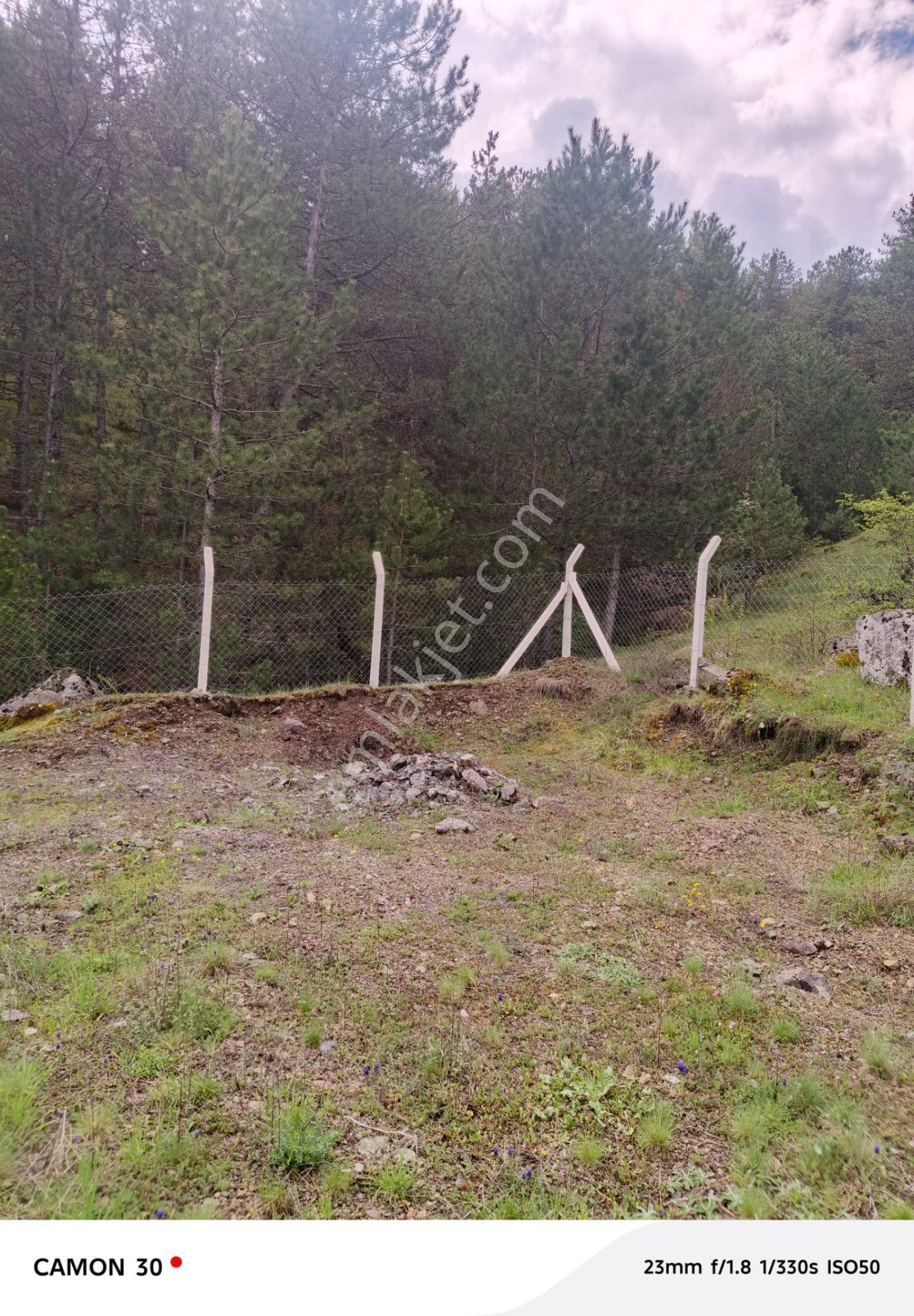 Kastamonu -tosya Kargın Köyü'nde Satılık Tarla - Görsel 15