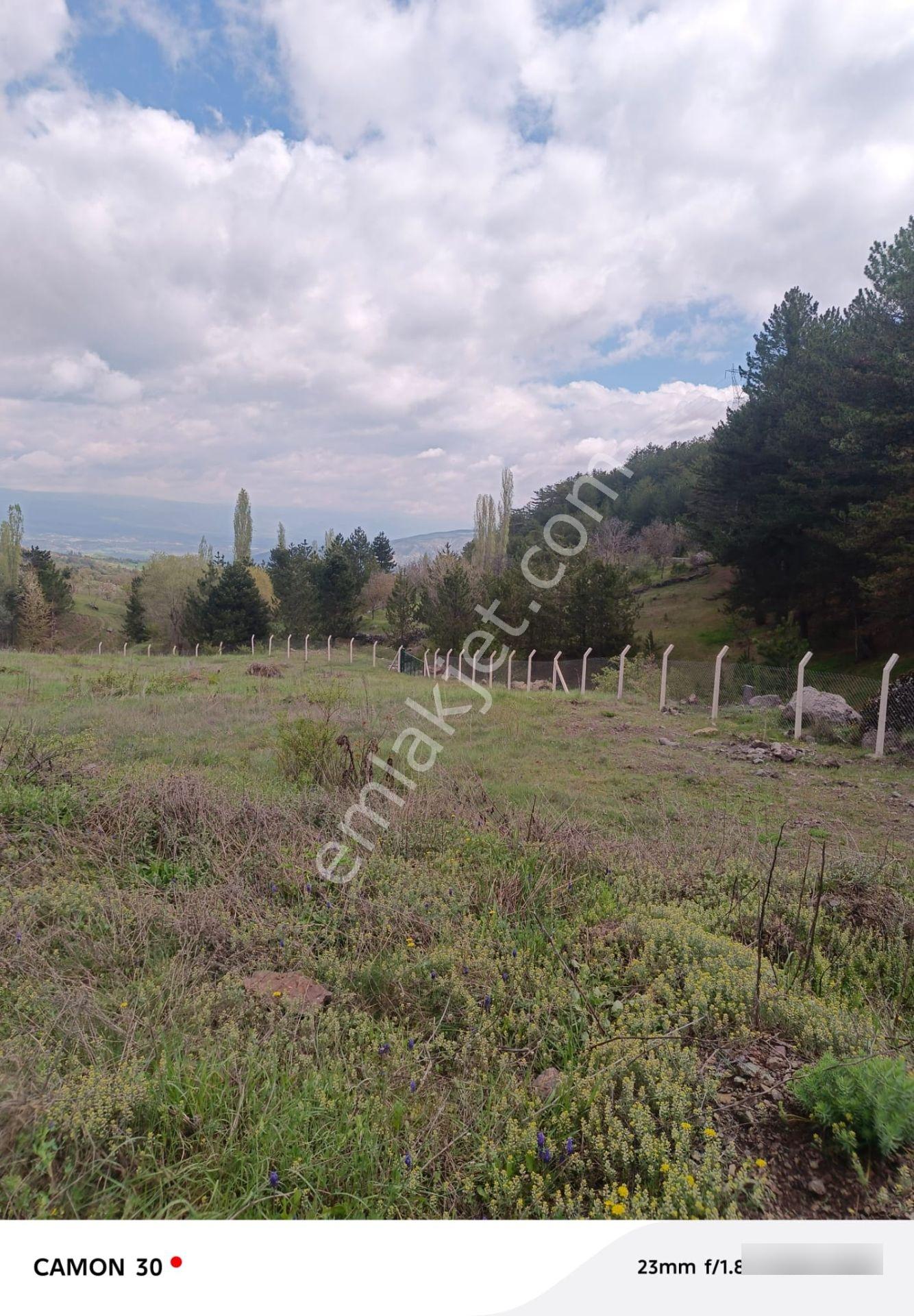 Kastamonu -tosya Kargın Köyü'nde Satılık Tarla - Görsel 17