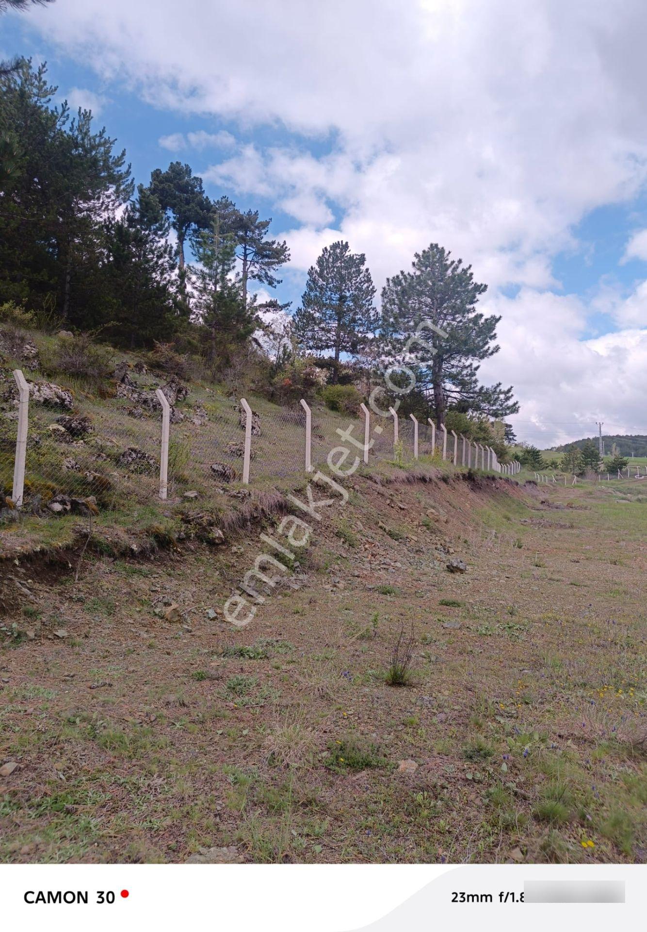 Kastamonu -tosya Kargın Köyü'nde Satılık Tarla - Görsel 14