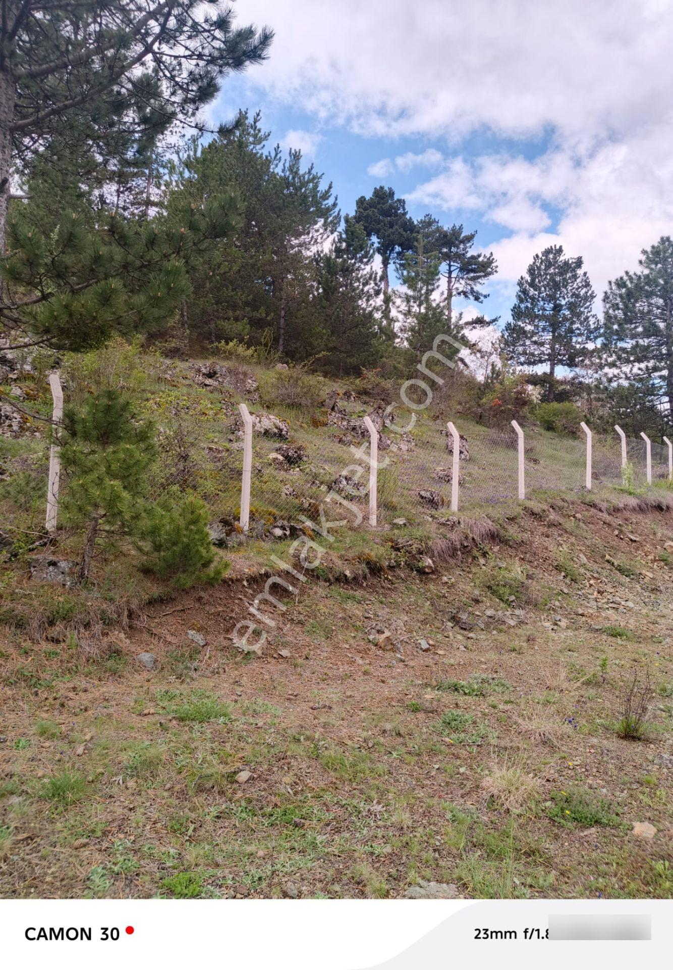 Kastamonu -tosya Kargın Köyü'nde Satılık Tarla - Görsel 9