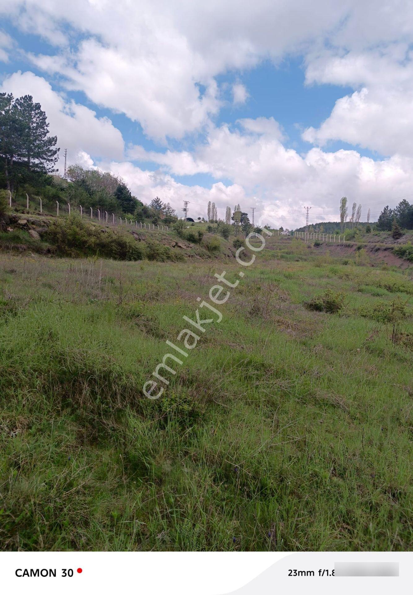 Kastamonu -tosya Kargın Köyü'nde Satılık Tarla - Görsel 16