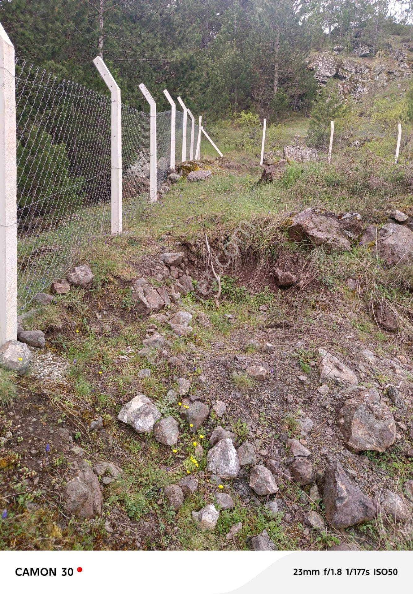 Kastamonu -tosya Kargın Köyü'nde Satılık Tarla - Görsel 13