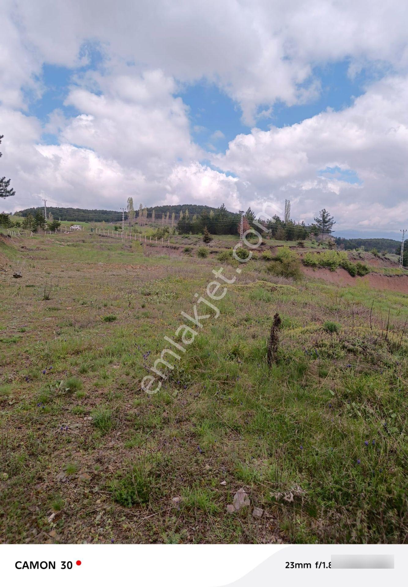 Kastamonu -tosya Kargın Köyü'nde Satılık Tarla - Görsel 18