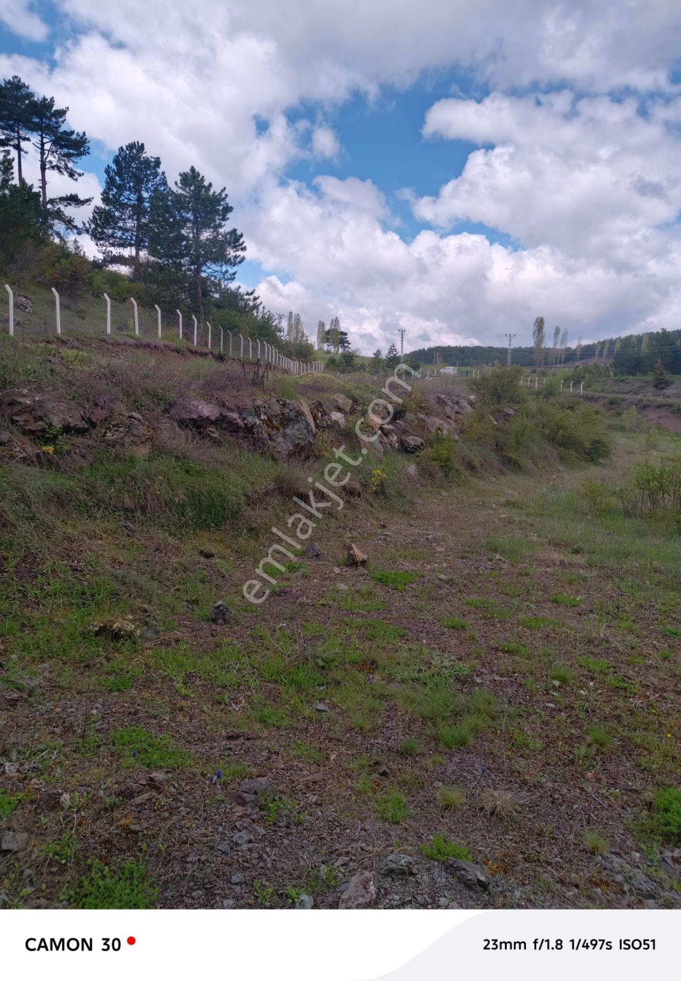Kastamonu -tosya Kargın Köyü'nde Satılık Tarla - Görsel 12