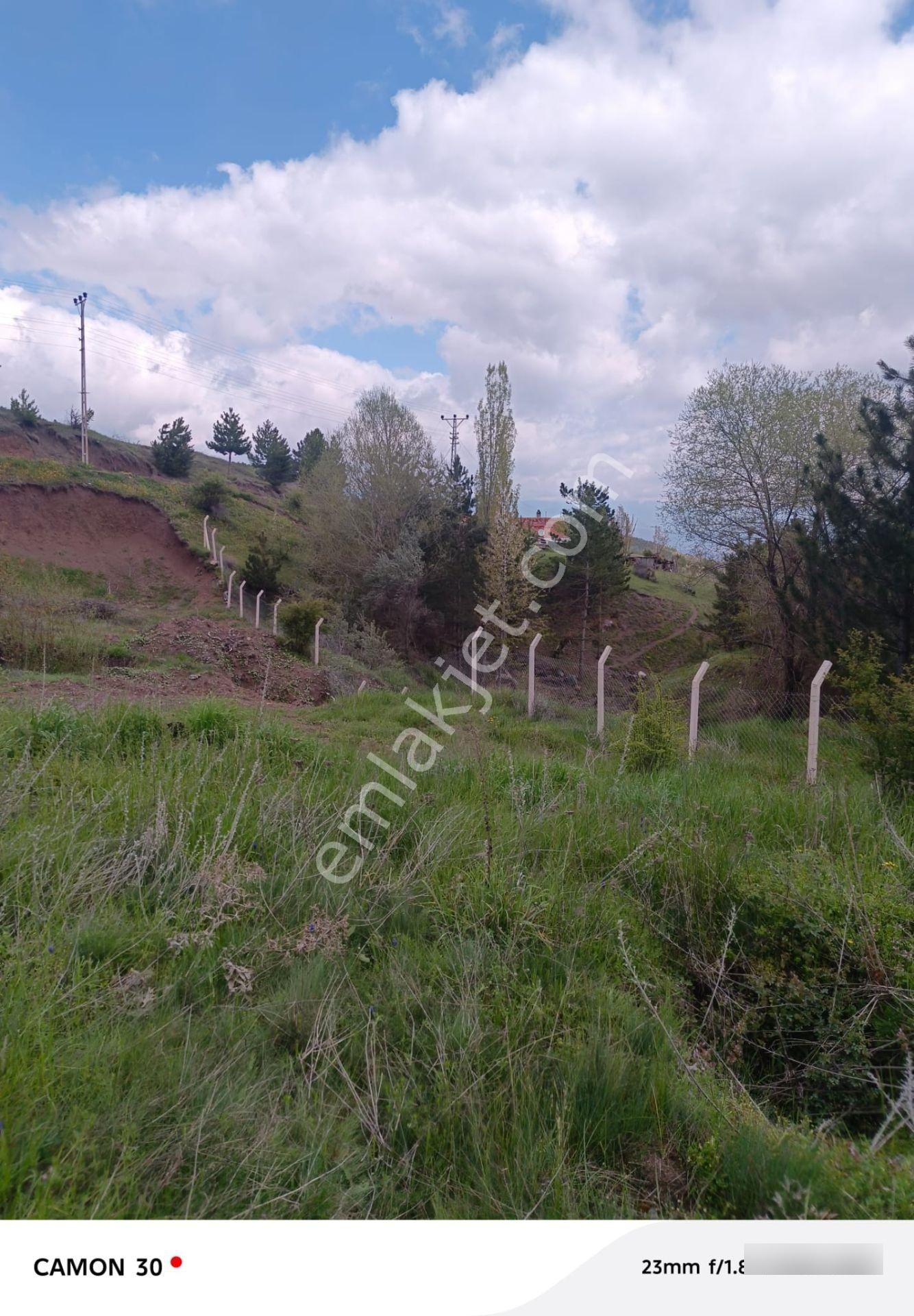 Kastamonu -tosya Kargın Köyü'nde Satılık Tarla - Görsel 6