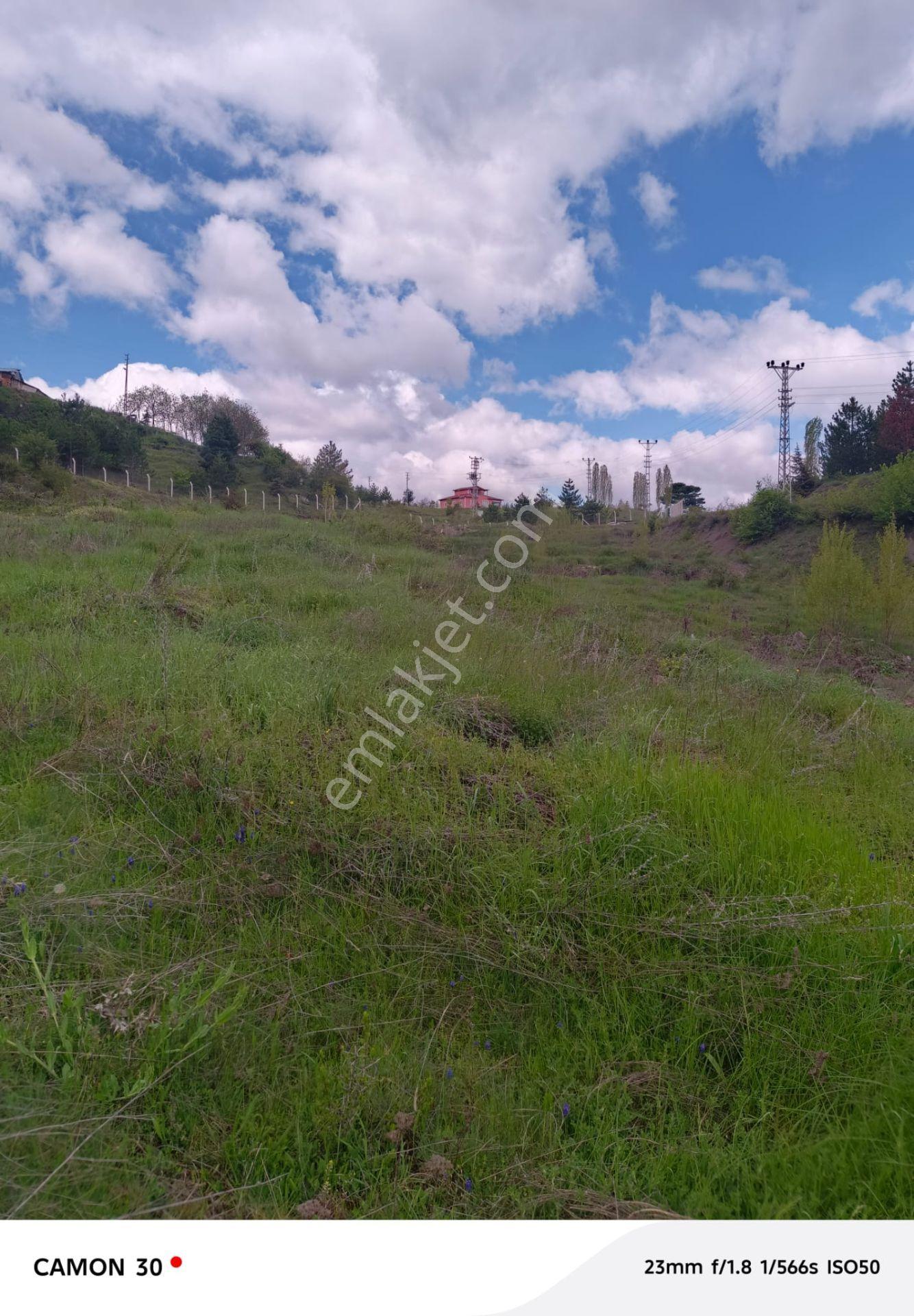 Kastamonu -tosya Kargın Köyü'nde Satılık Tarla - Görsel 11