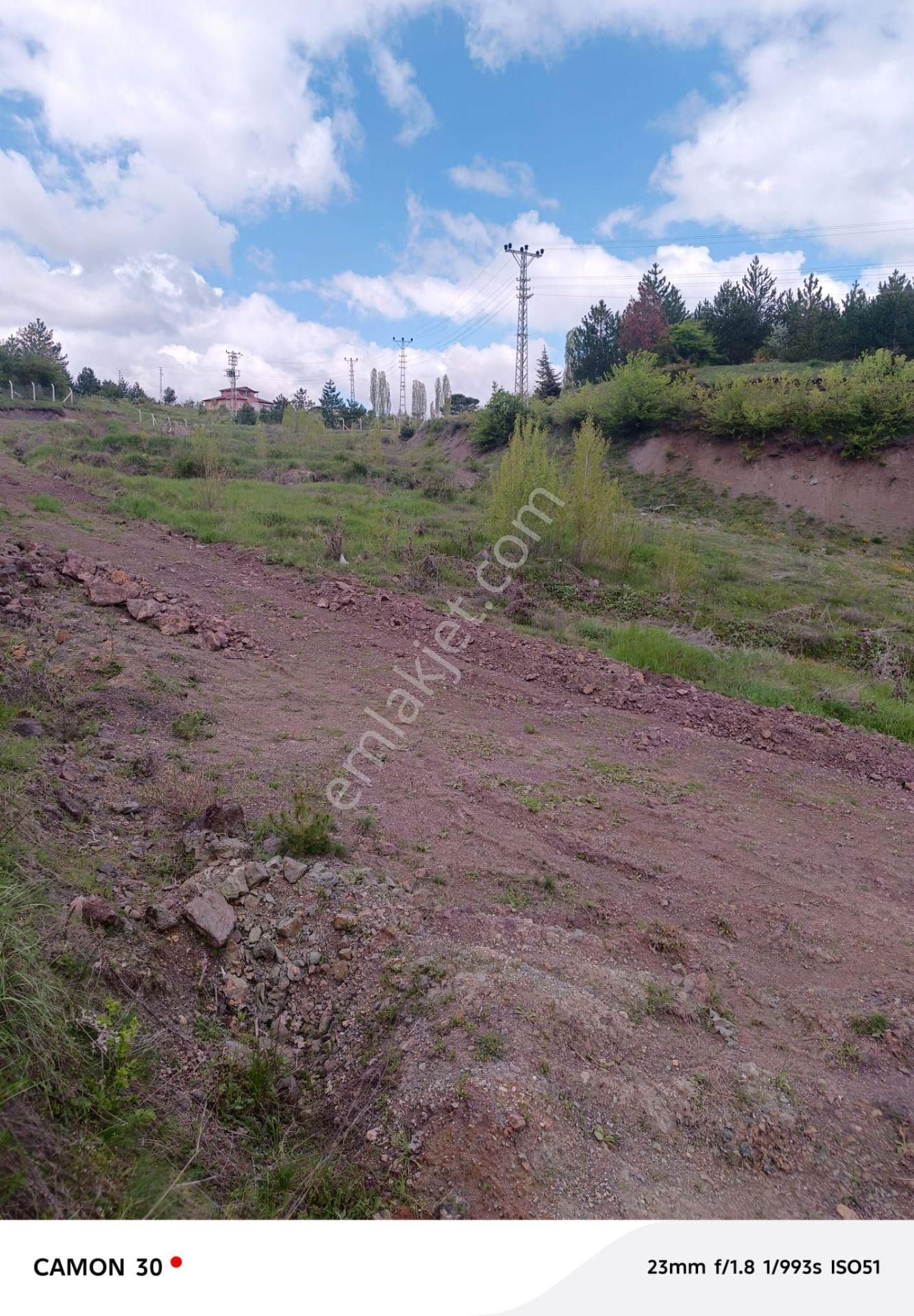 Kastamonu -tosya Kargın Köyü'nde Satılık Tarla - Görsel 5
