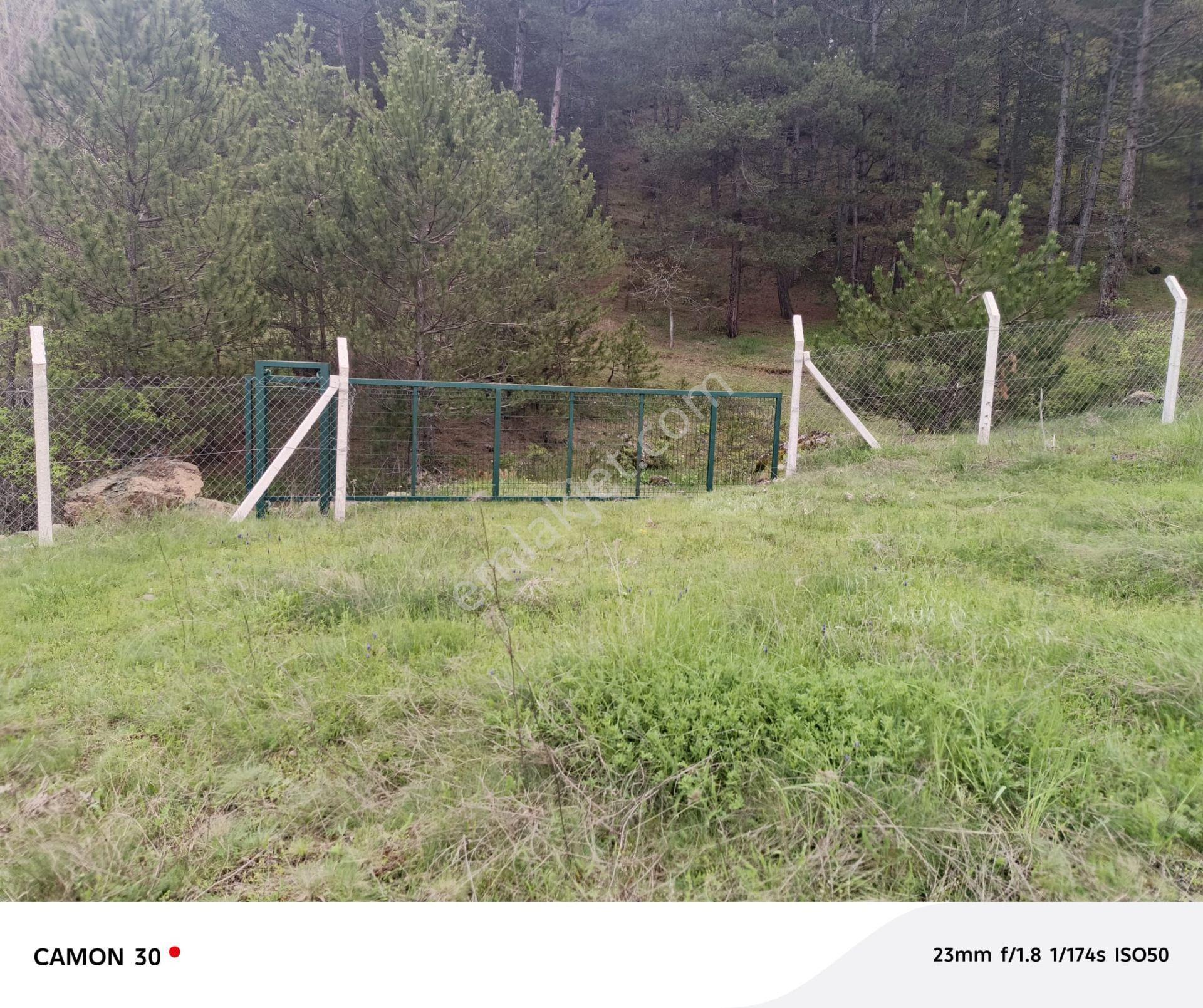 Kastamonu -tosya Kargın Köyü'nde Satılık Tarla - Görsel 10