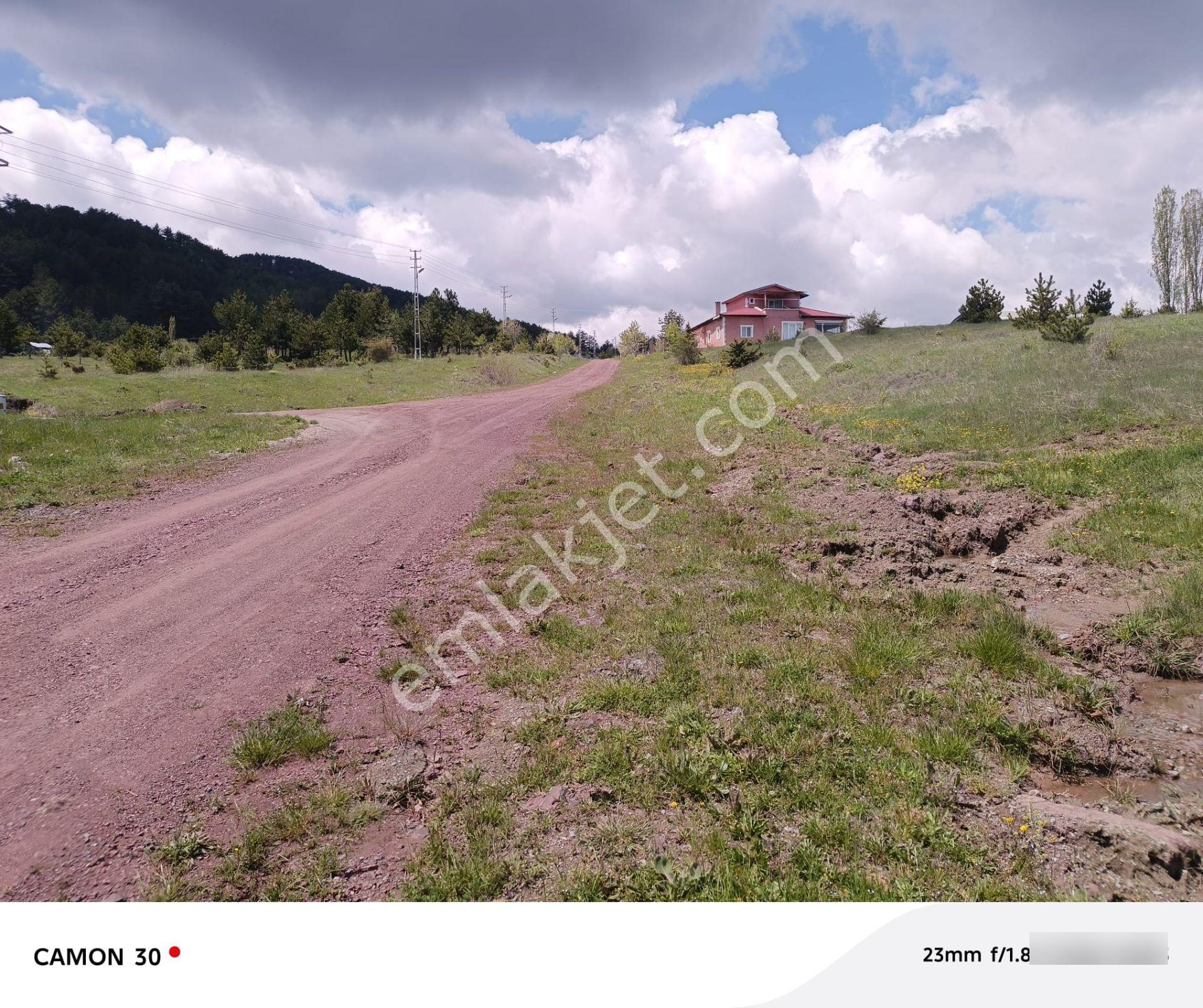 Kastamonu -tosya Kargın Köyü'nde Satılık Tarla - Görsel 3