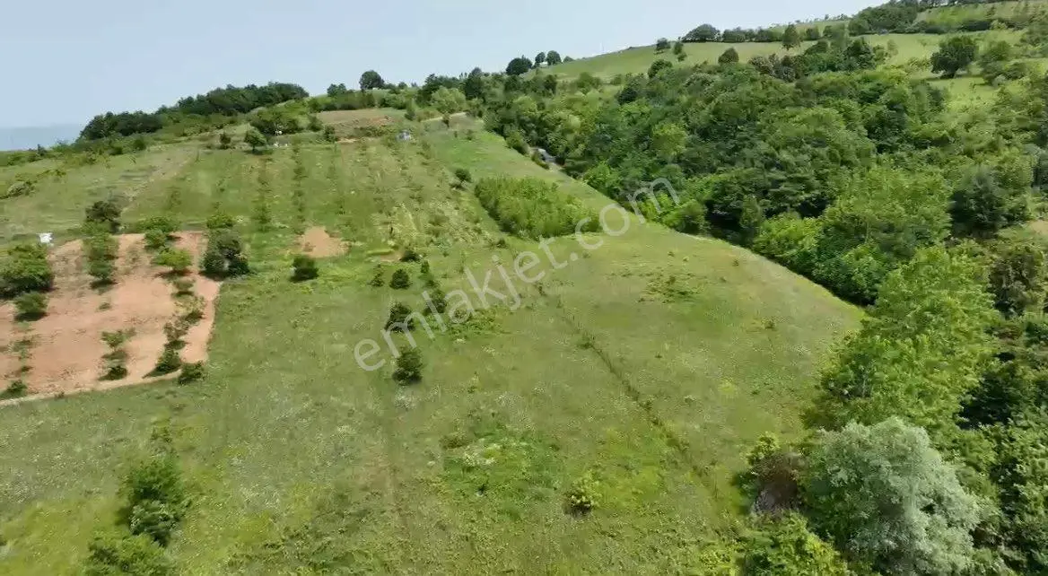 Roma’ Dan Kirazlıyayla’ Da Satılık Tarla - Görsel 5