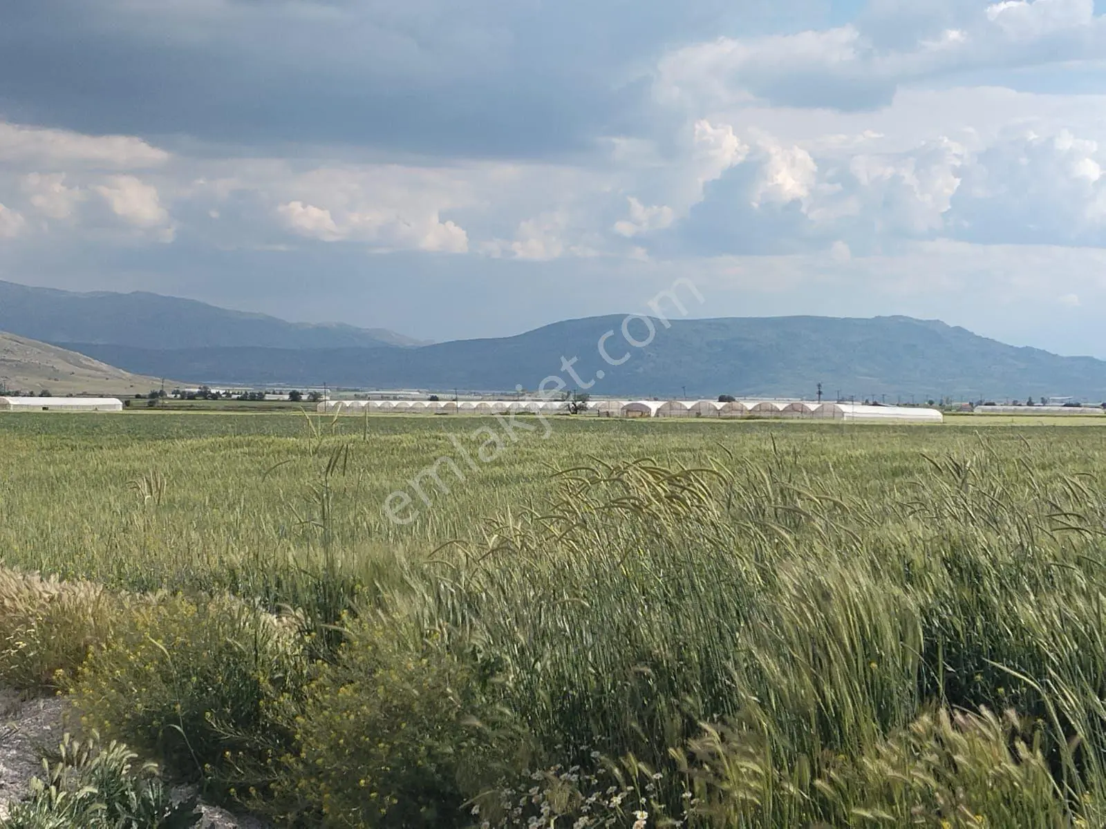 Burdur İle Karamanlı İlçesi Çamlık Mahallesi'nde Mükemmel Lokasyonda Tarla