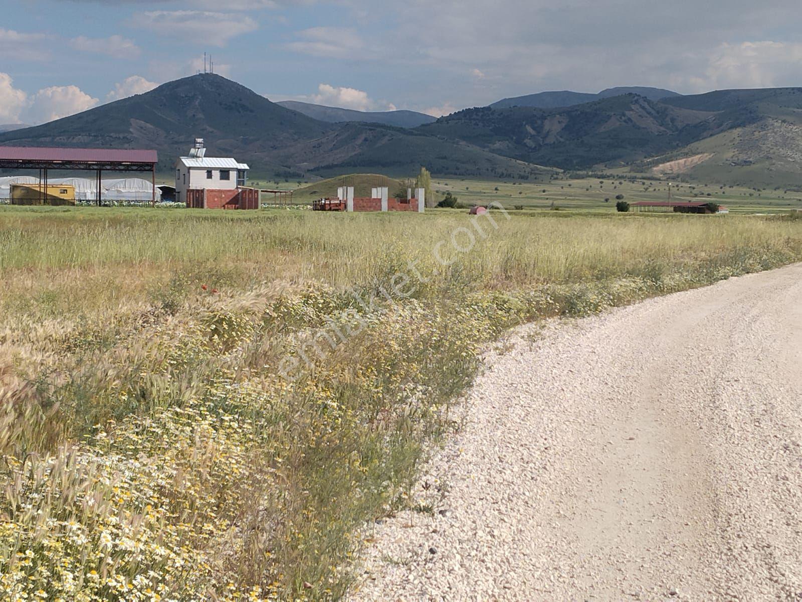 Burdur İle Karamanlı İlçesi Çamlık Mahallesi'nde Mükemmel Lokasyonda Tarla - Görsel 4