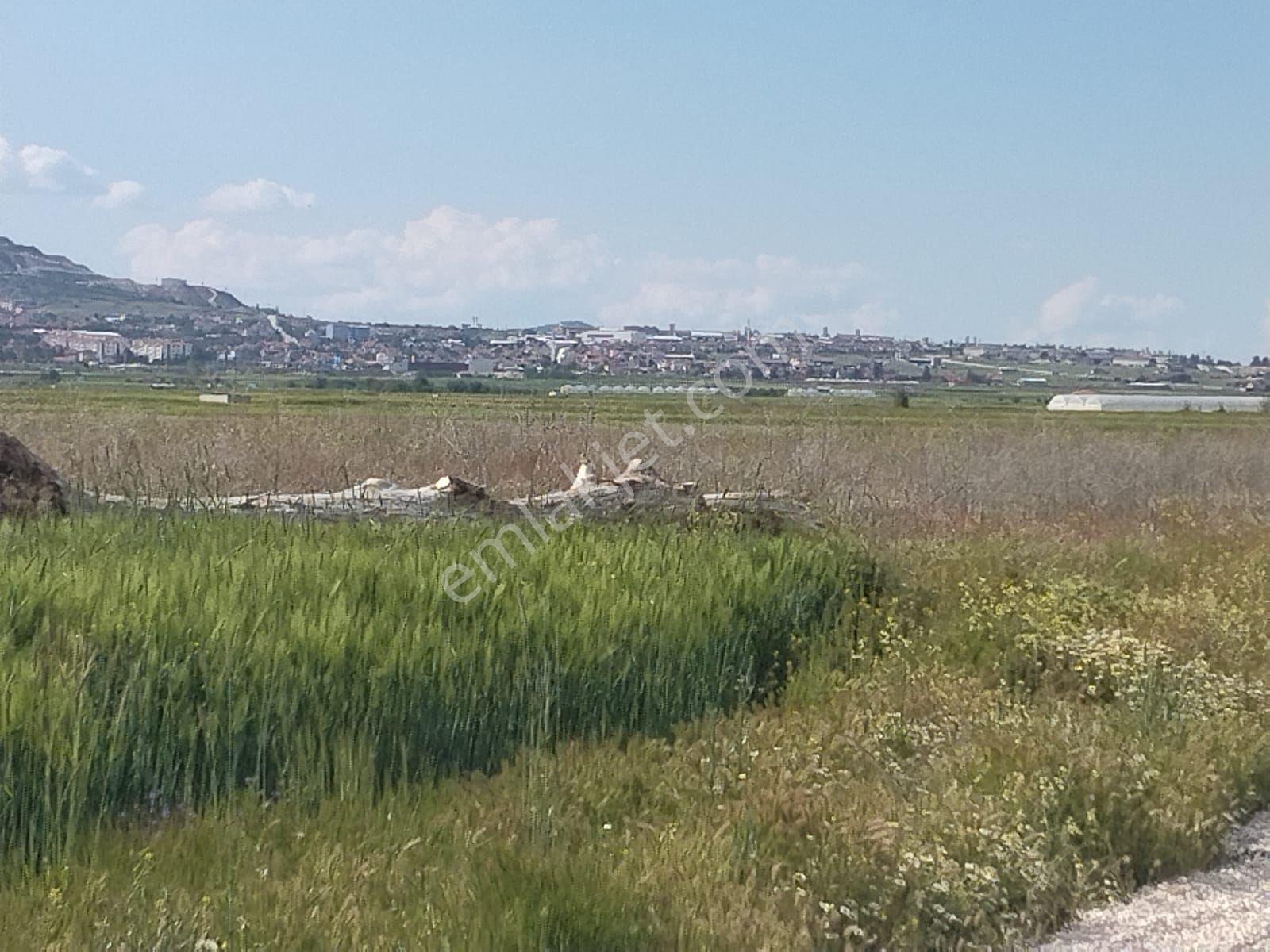 Burdur İle Karamanlı İlçesi Çamlık Mahallesi'nde Mükemmel Lokasyonda Tarla - Görsel 13