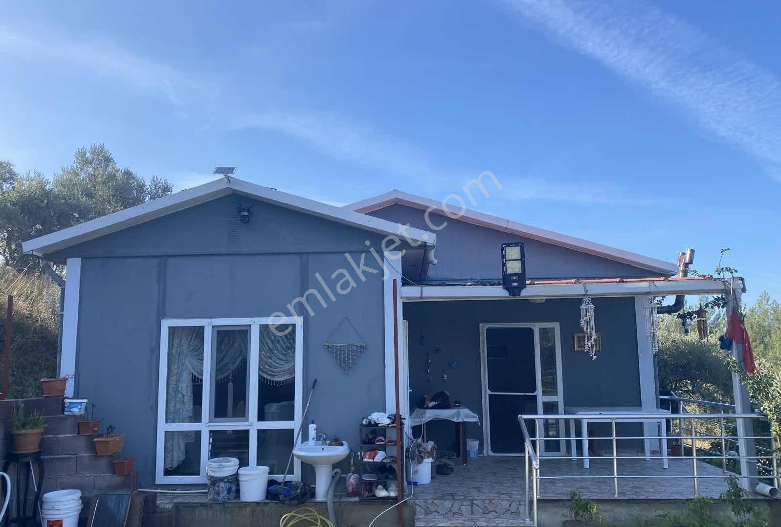 Kemalpaşa Yukarı Kızılcada Satılık Tek Tapulu Bahçe - Görsel 8