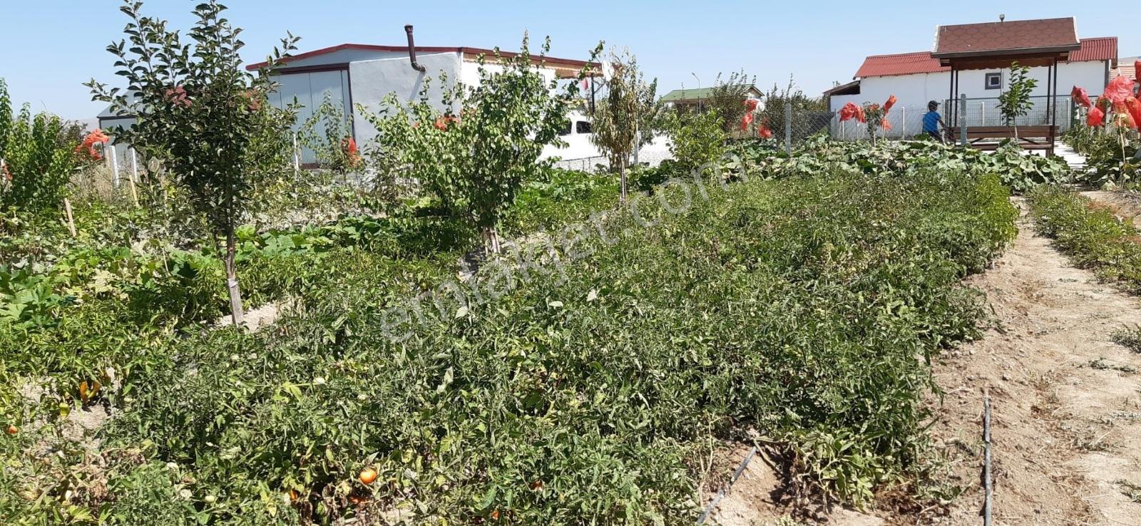 Lider Emlak'tan Çubuk Taşpınarda 900 M2 Hobi Bahçesi - Görsel 35