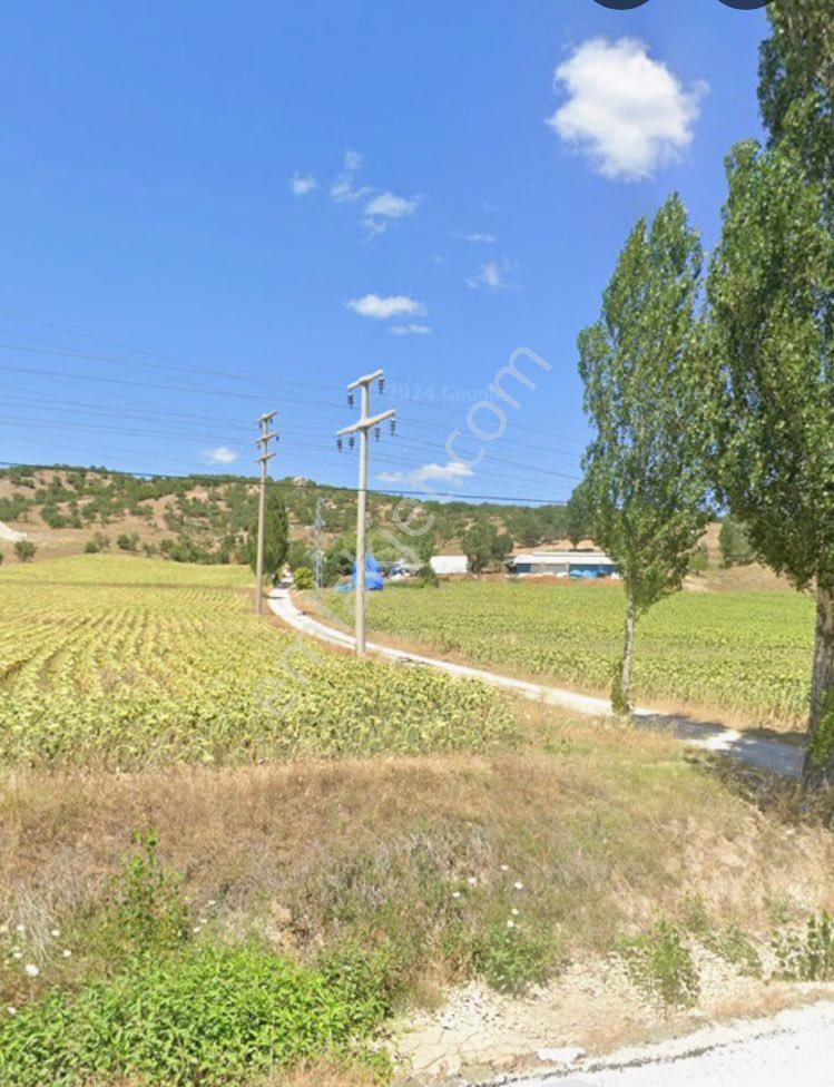 Satılık Yatırımlık Arazi - Görsel 5