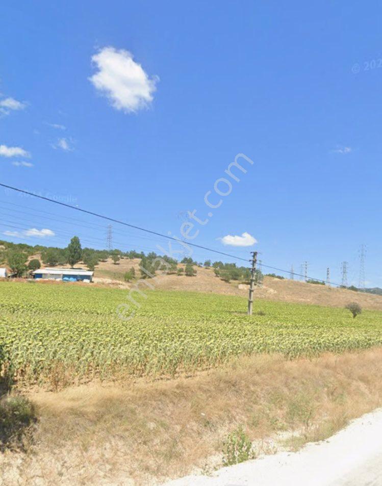 Satılık Yatırımlık Arazi - Görsel 6