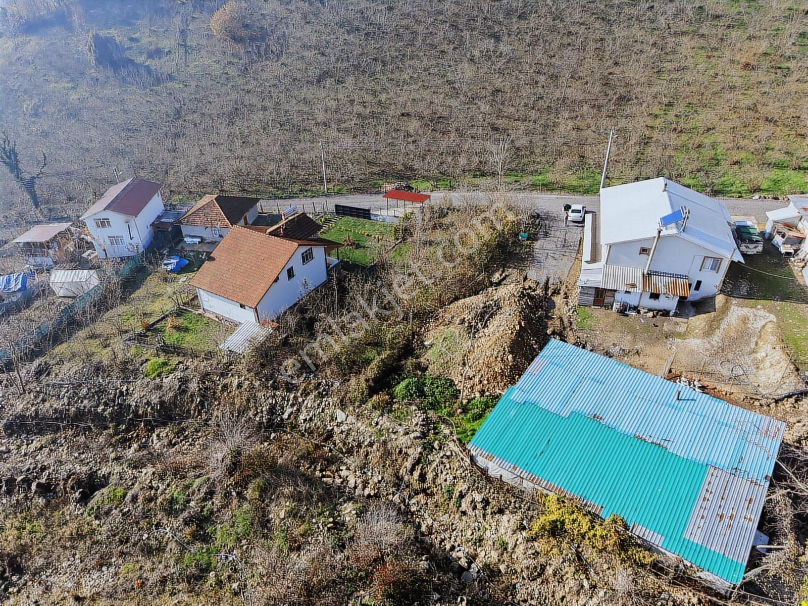 Emlak Evim - Düzce Gölyaka Yazlık Mah. 514 M² İmarlı Arsa Acil - Görsel 13