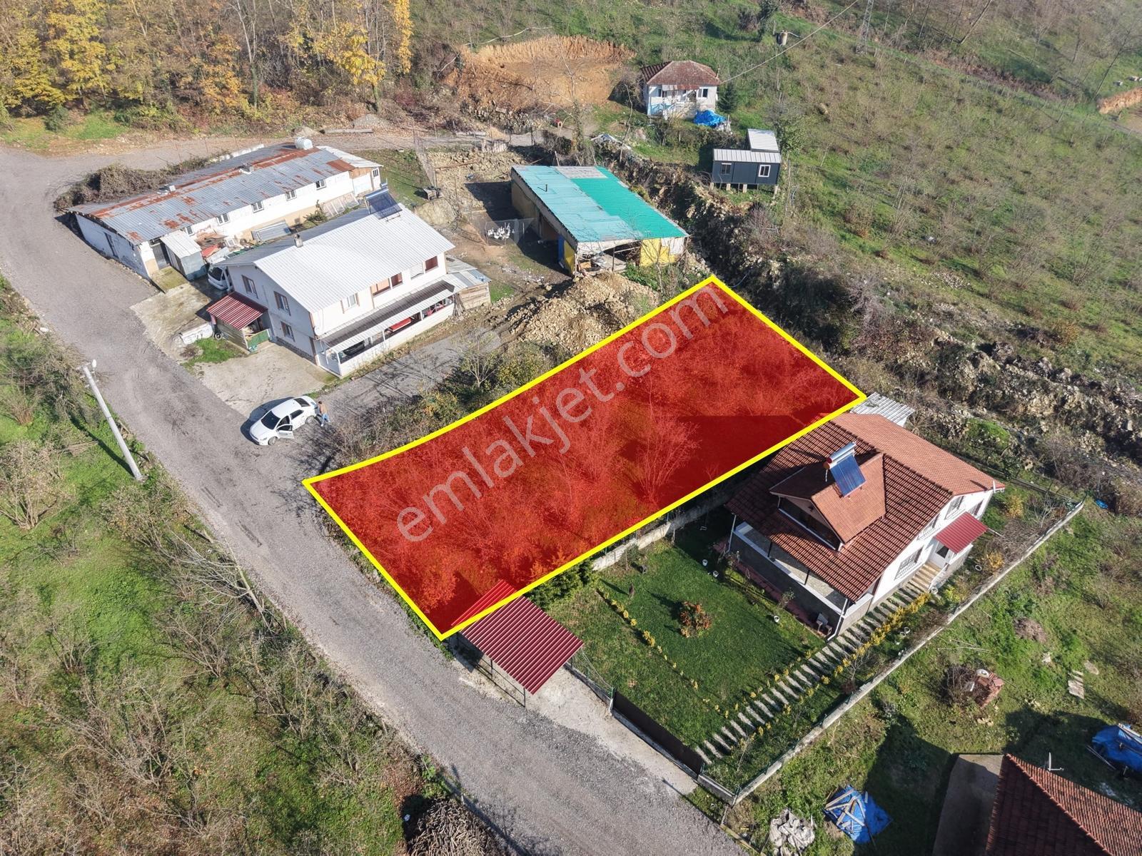 Emlak Evim - Düzce Gölyaka Yazlık Mah. 514 M² İmarlı Arsa Acil - Görsel 11