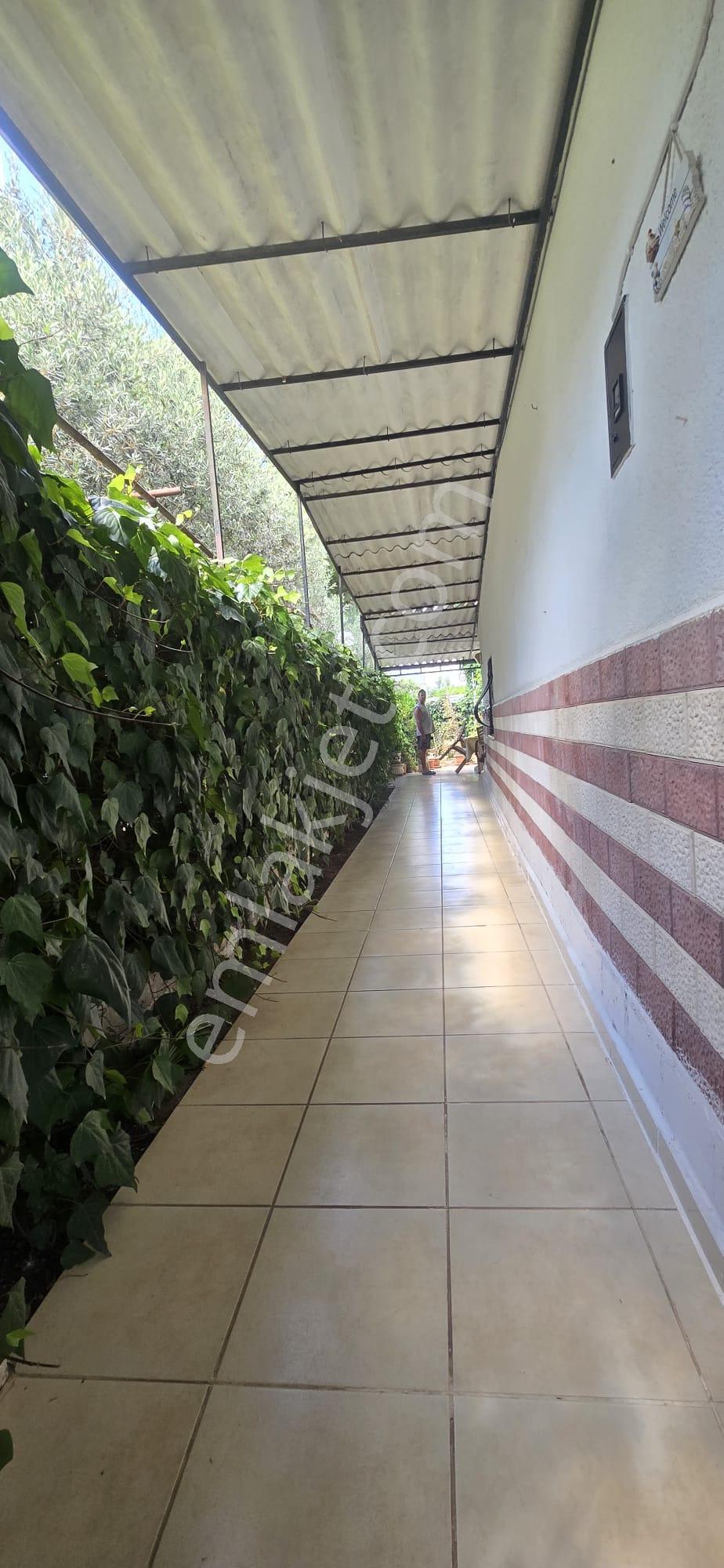 Didim Altınkum'da Denize 150m, Geniş Bahçeli İkiz Villa (eşyalı) - Görsel 34
