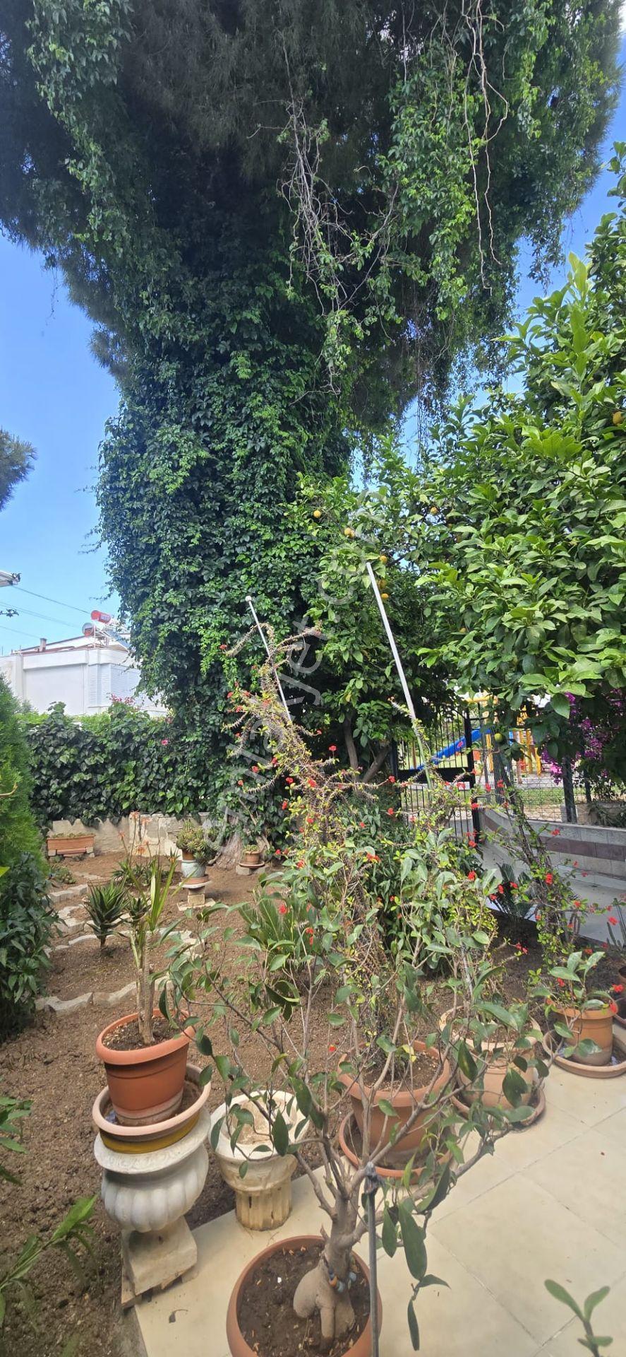 Didim Altınkum'da Denize 150m, Geniş Bahçeli İkiz Villa (eşyalı) - Görsel 30