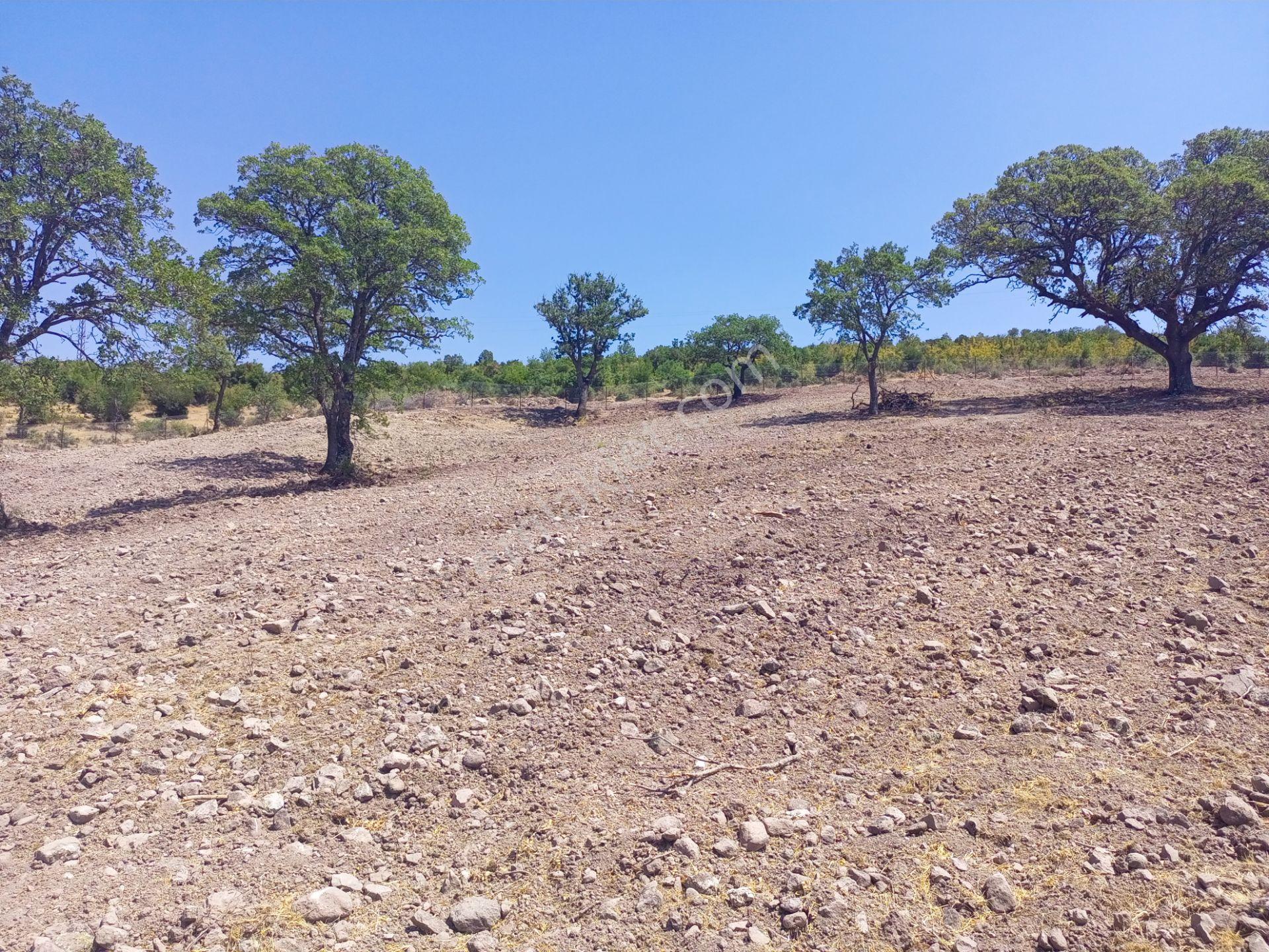 Göl Manzaralı, Yolu Olan, Müstakil Parsel, Tek Tapu 7620m2 Arazimiz Satılıktır - Görsel 6
