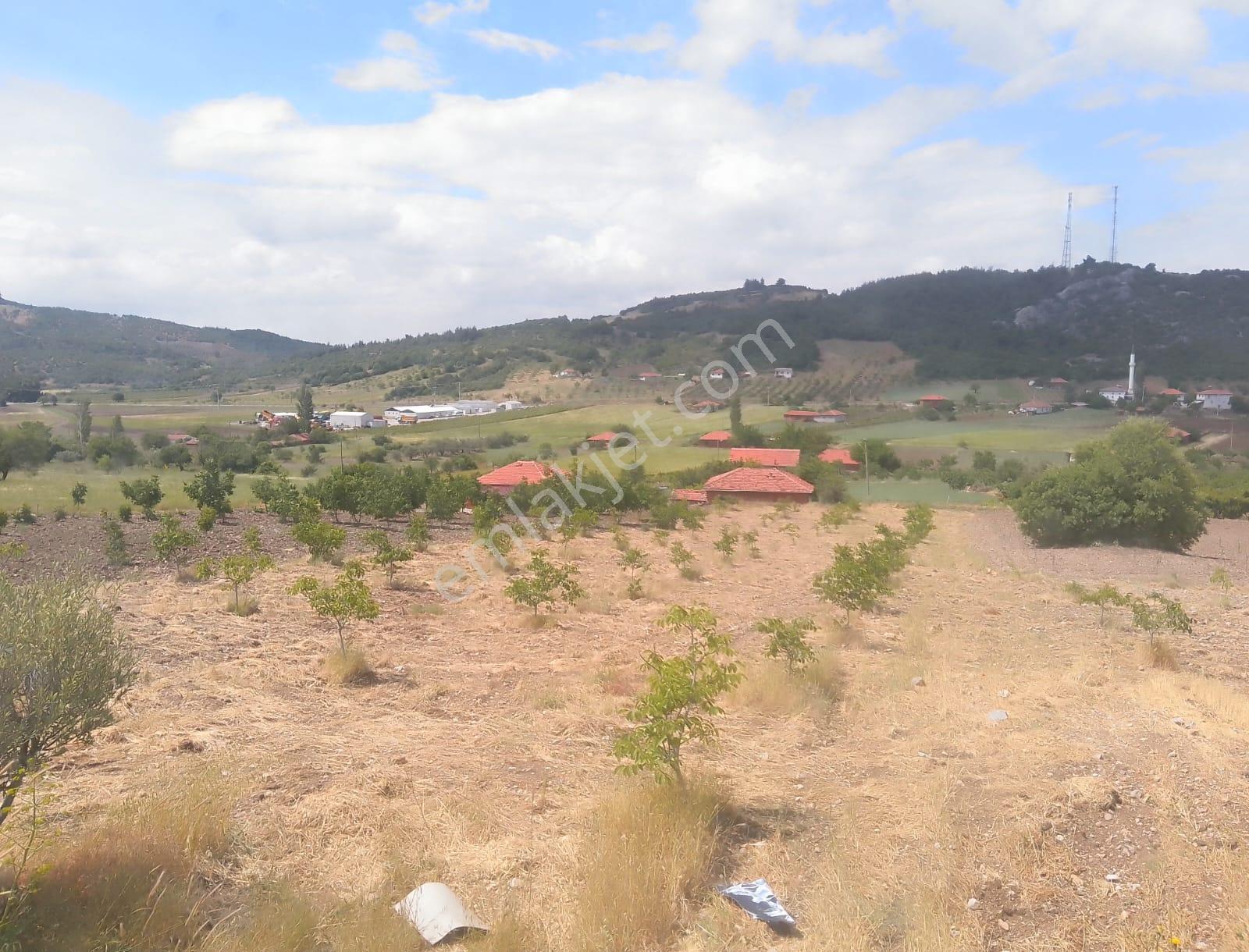 Doğa Harikası 3190m2 Bahçede 95m2 Müstakil Bağ Evi Satılık - Görsel 18