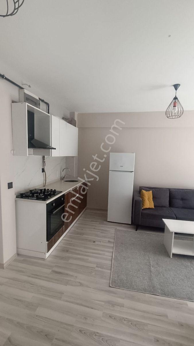 Sinerji'den Zmc Yaşam'da Temiz Eşyalı Kiralık 1+1 Daire - Görsel 11