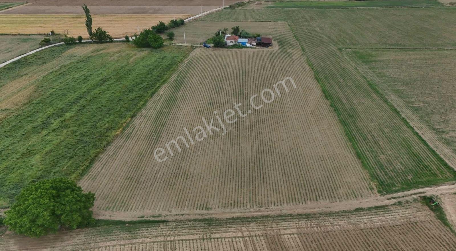 Pek Emlaktan 9,300 M2 Satılık Müstakil Parsel Tarla - Görsel 8