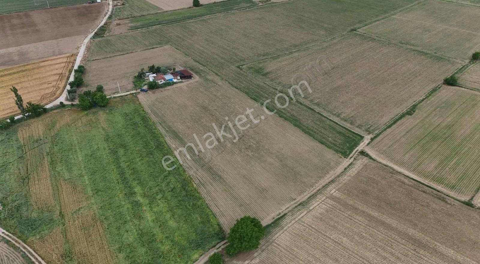 Pek Emlaktan 9,300 M2 Satılık Müstakil Parsel Tarla - Görsel 6