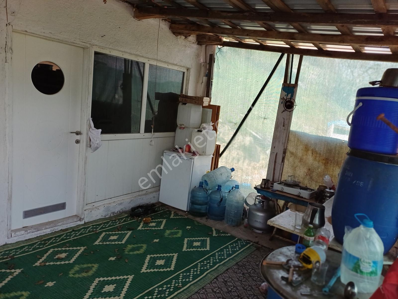 Altıeylül Ayvacık' Ta Köy Merkezine Yakın Tarlamız Satışta - Görsel 25