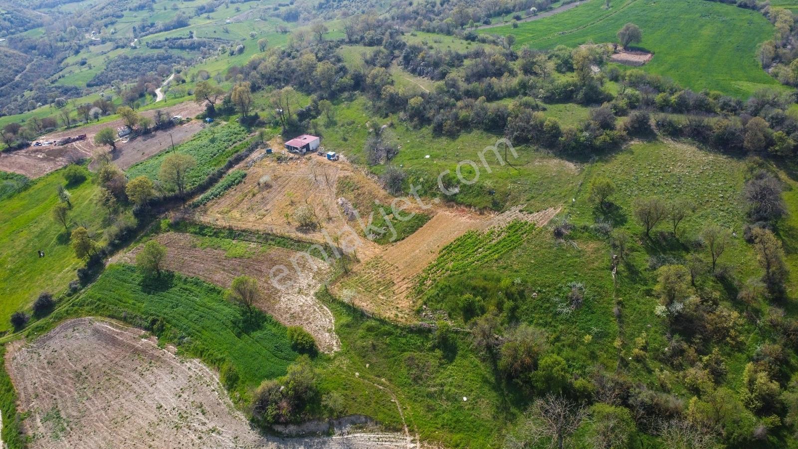 Altıeylül Ayvacık' Ta Köy Merkezine Yakın Tarlamız Satışta - Görsel 10