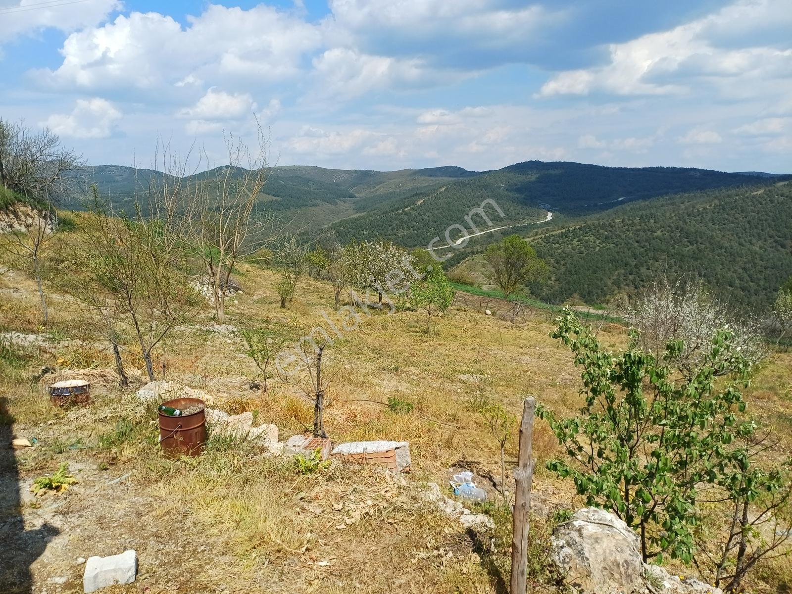 Altıeylül Ayvacık' Ta Köy Merkezine Yakın Tarlamız Satışta - Görsel 17