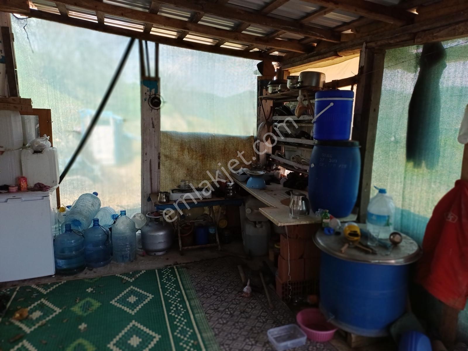 Altıeylül Ayvacık' Ta Köy Merkezine Yakın Tarlamız Satışta - Görsel 4