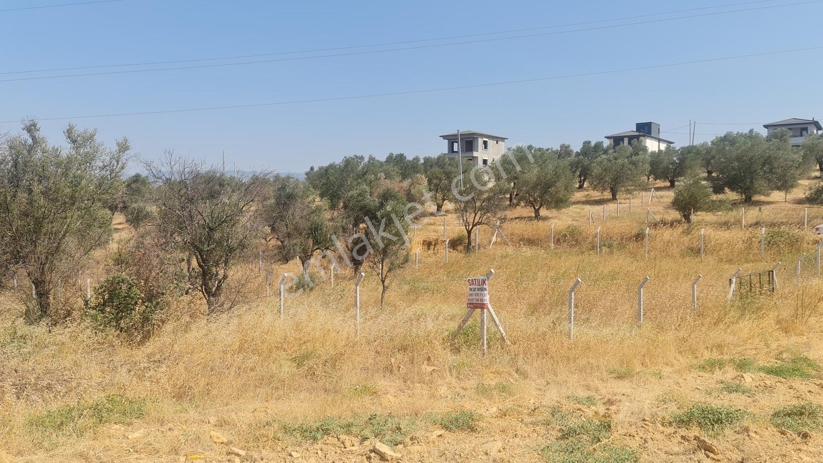 Burhaniye Pelitköy Merkezde Satılık 490 M² Köşe Parsel Arsa - Görsel 3