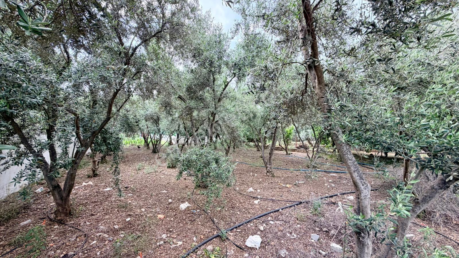 Prodıgy360'tan Fethiye Karagedik'te Satılık Arsa 430 M² - Görsel 8