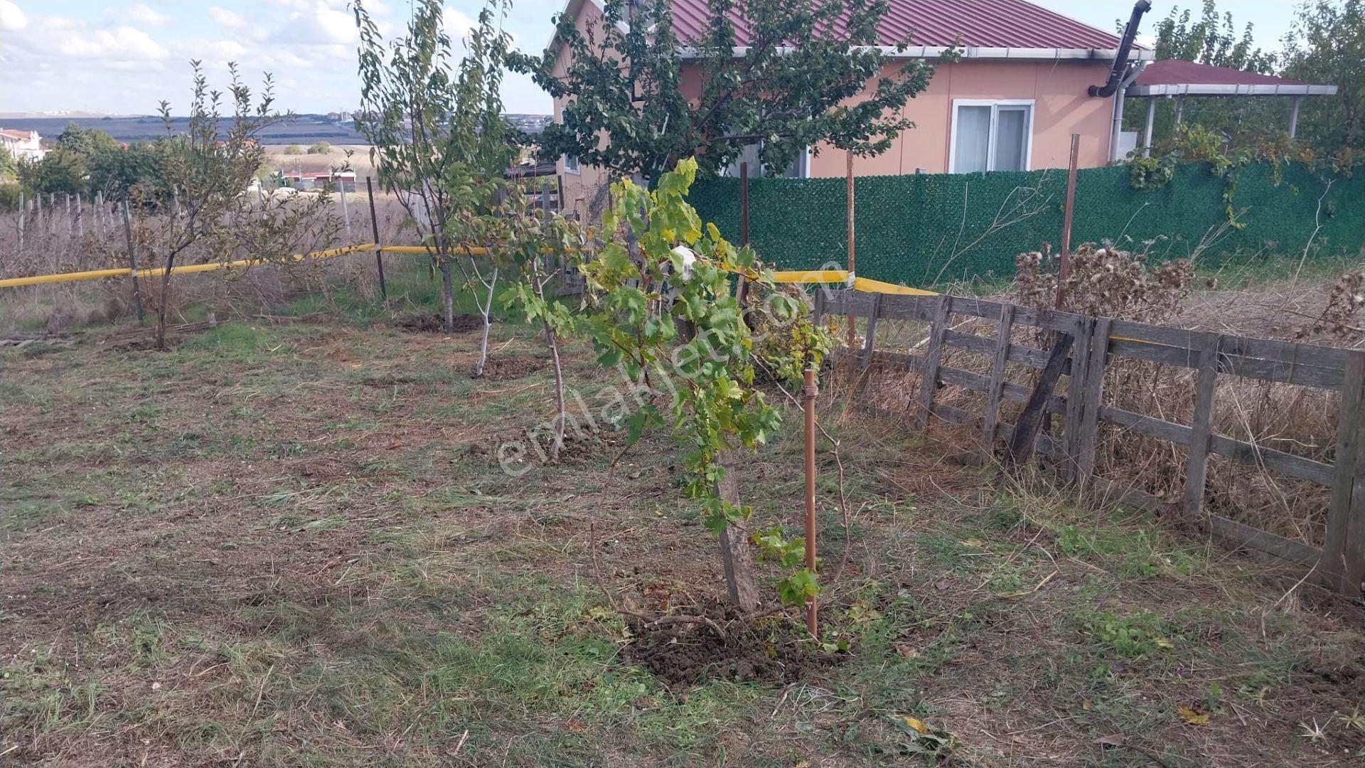 Silivri Çeltik Köy İçinde Etrafı Çevrili Satılık 266m2 Tarla - Görsel 10