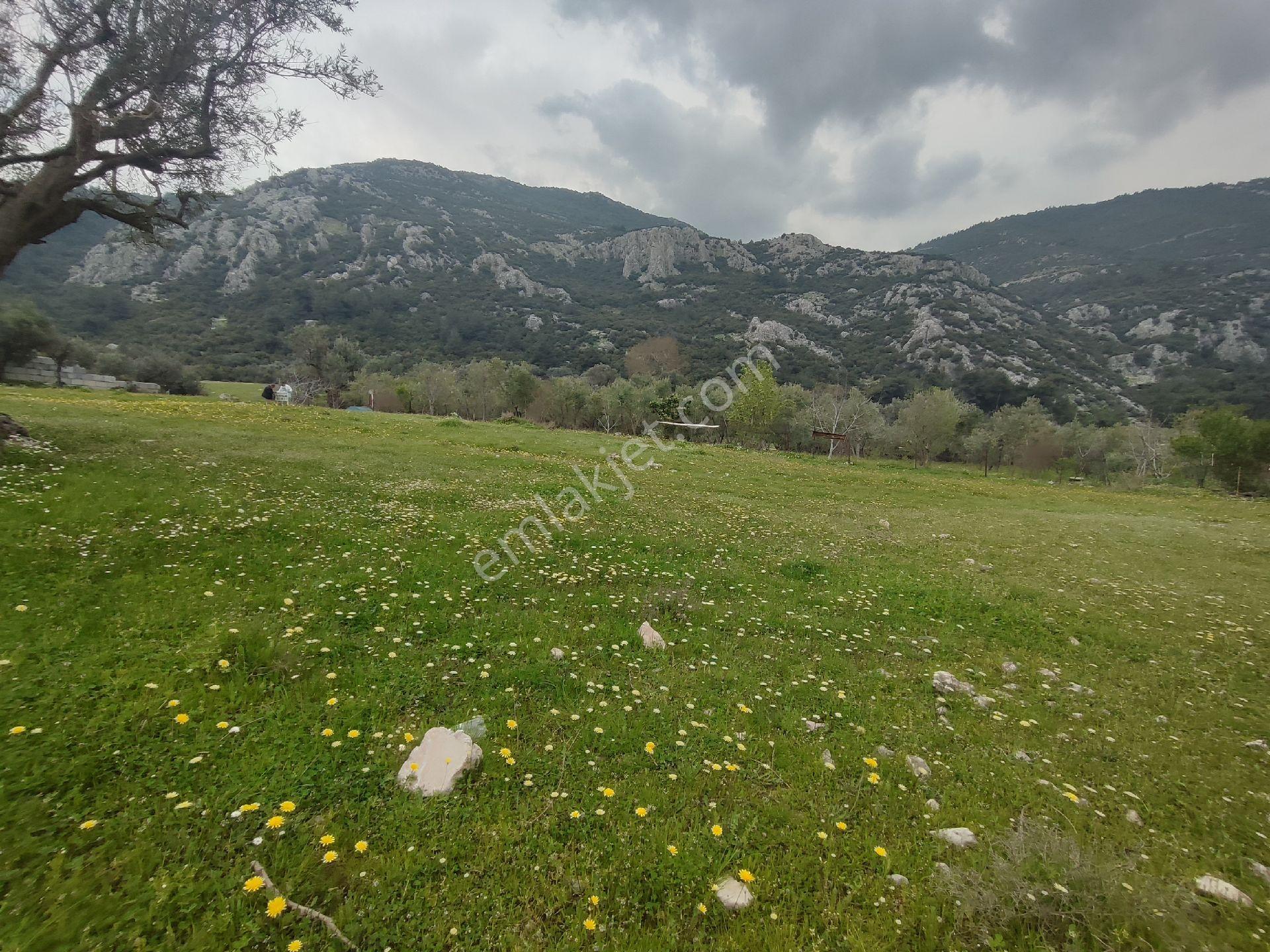 Satılık Tarla Manisa Emlakderede - Görsel 7