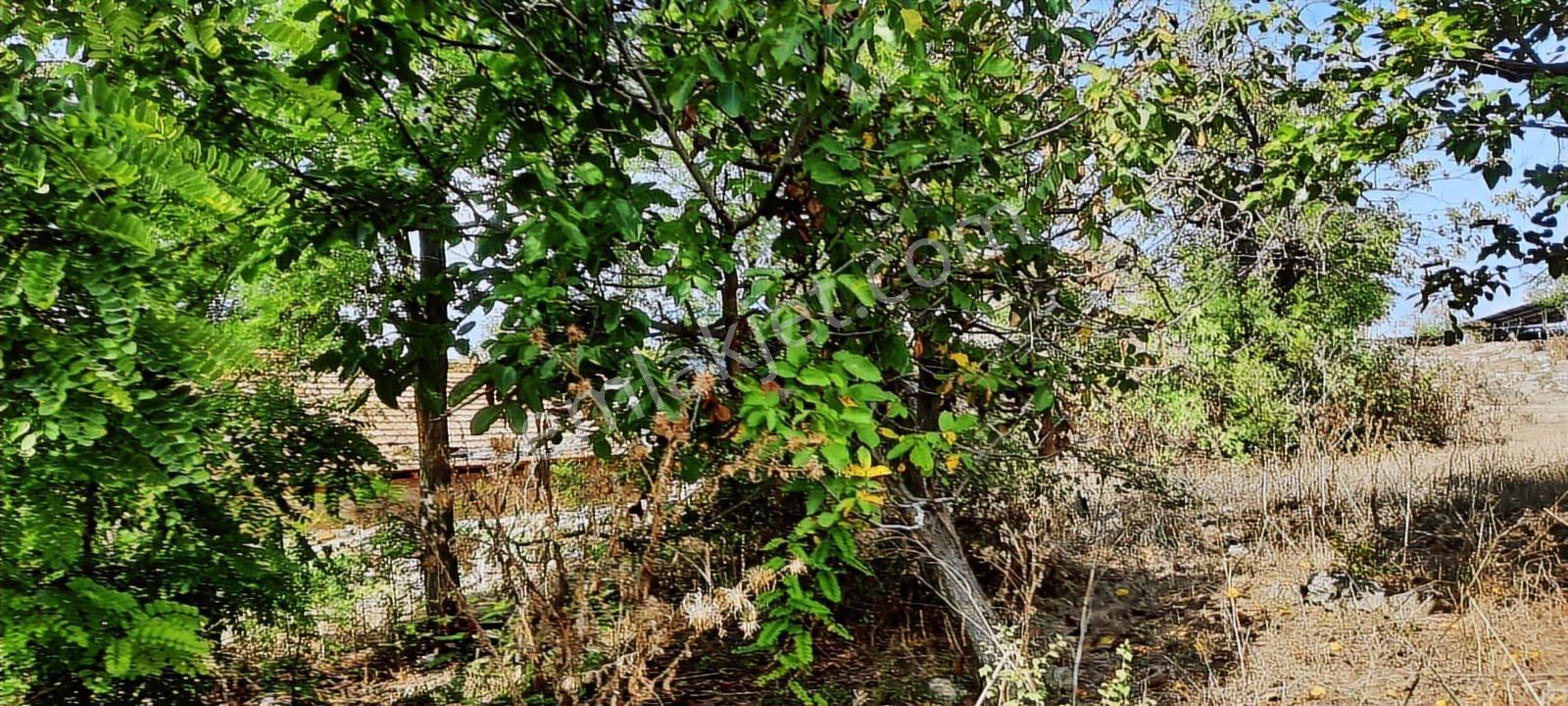 İnegöl Yeniyörük Mh.köy Mrk.de Satılık İmarlı Arsa.hesaplı - Görsel 3