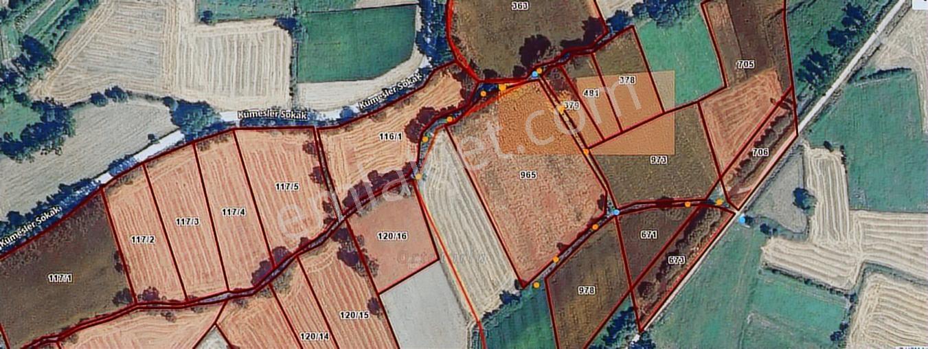Satılık Tarla Bolu Berk Köyü'nde Yatırımlık Fırsat Tarla - Görsel 14