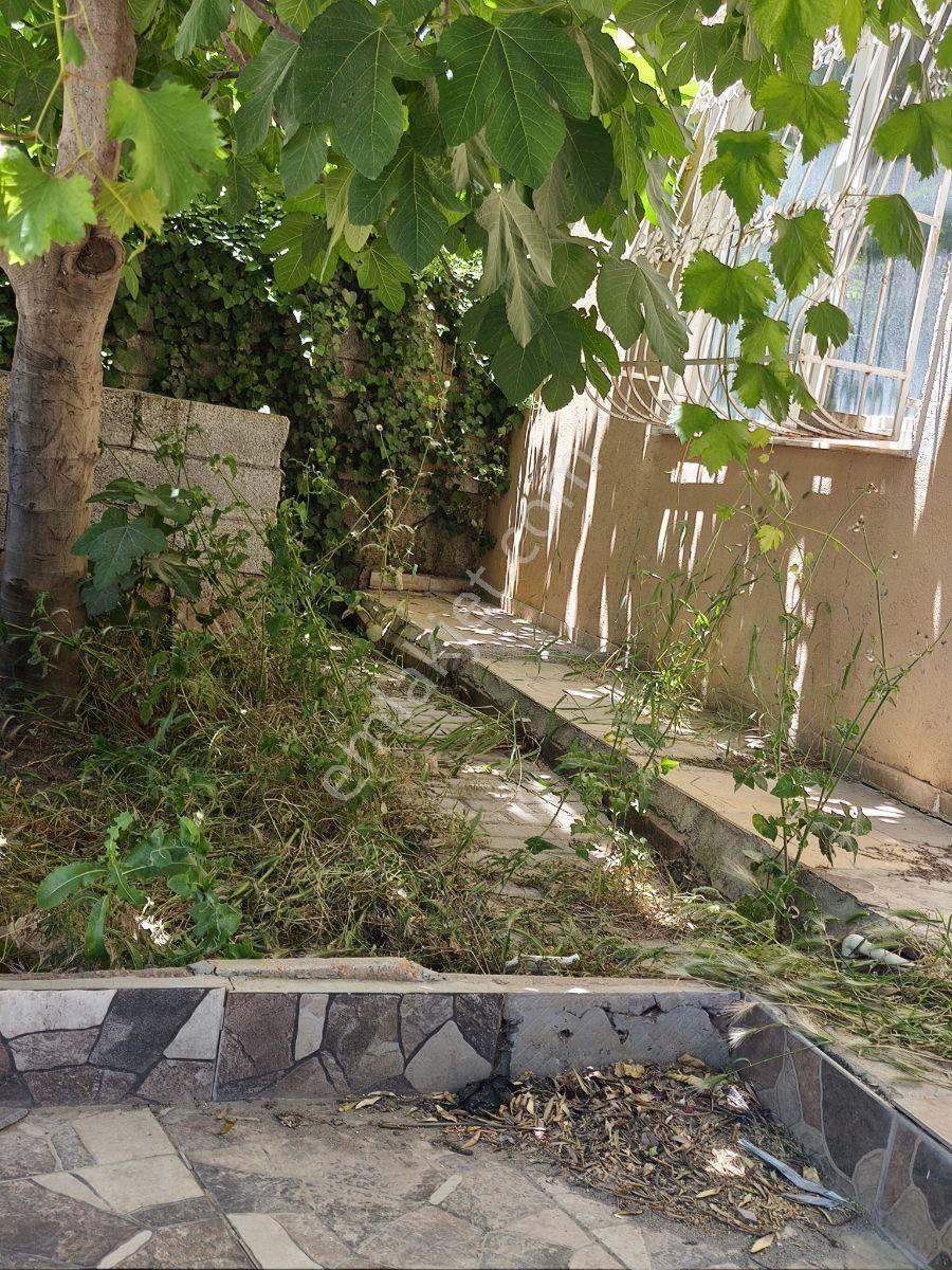 Yıldırım Emlak'tan Piazza Civ. Shell Arkası Dubleks Kiralık Müst - Görsel 15